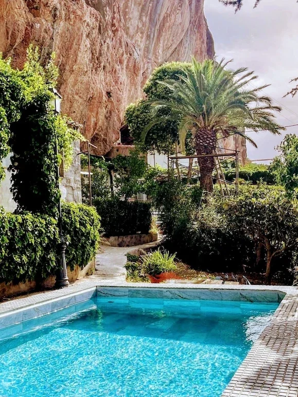 Swimming pool surrounded by lush green plants, with a large palm tree and a rocky cliff in the background.