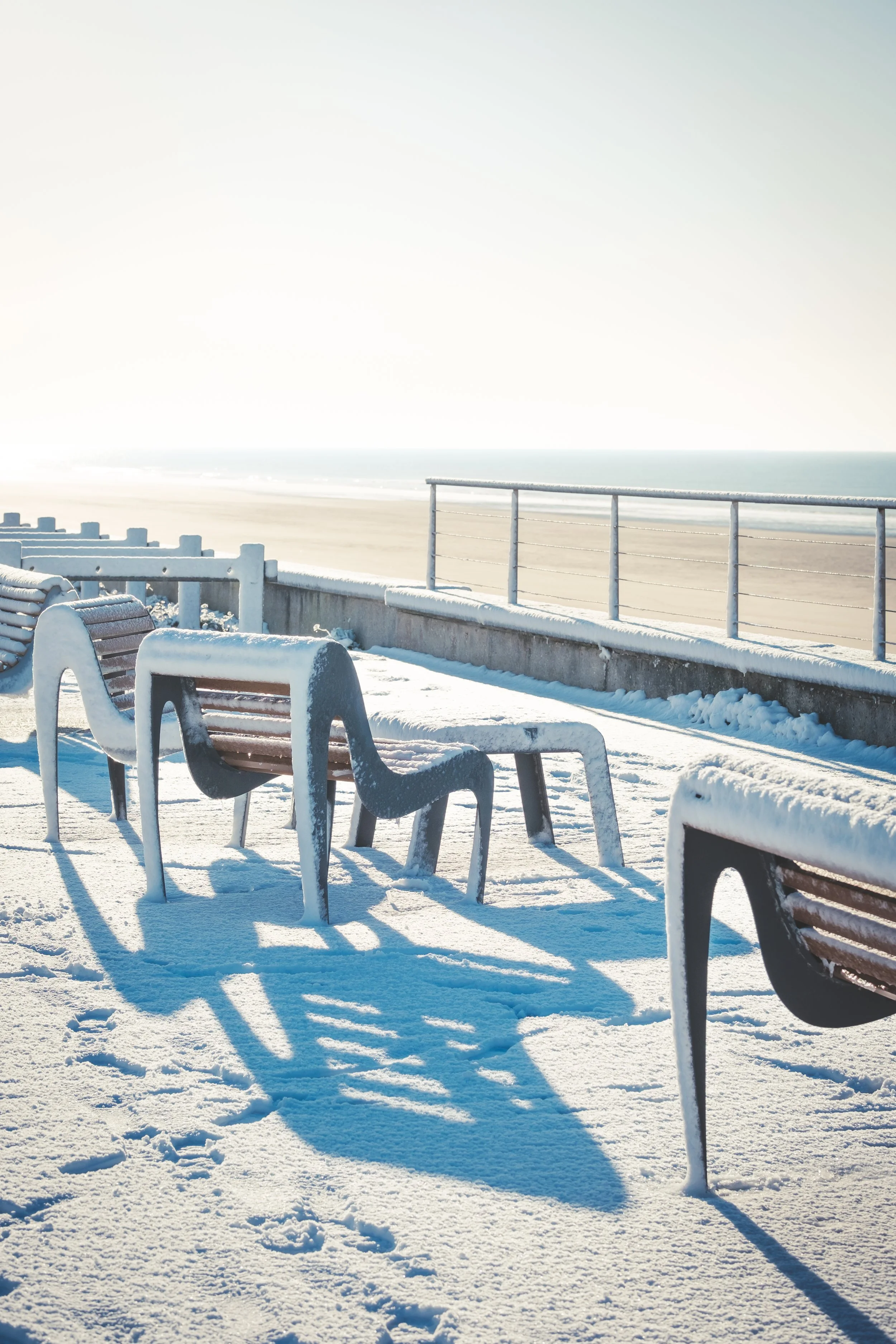 06012026-06012026- 039X-S20.jpg