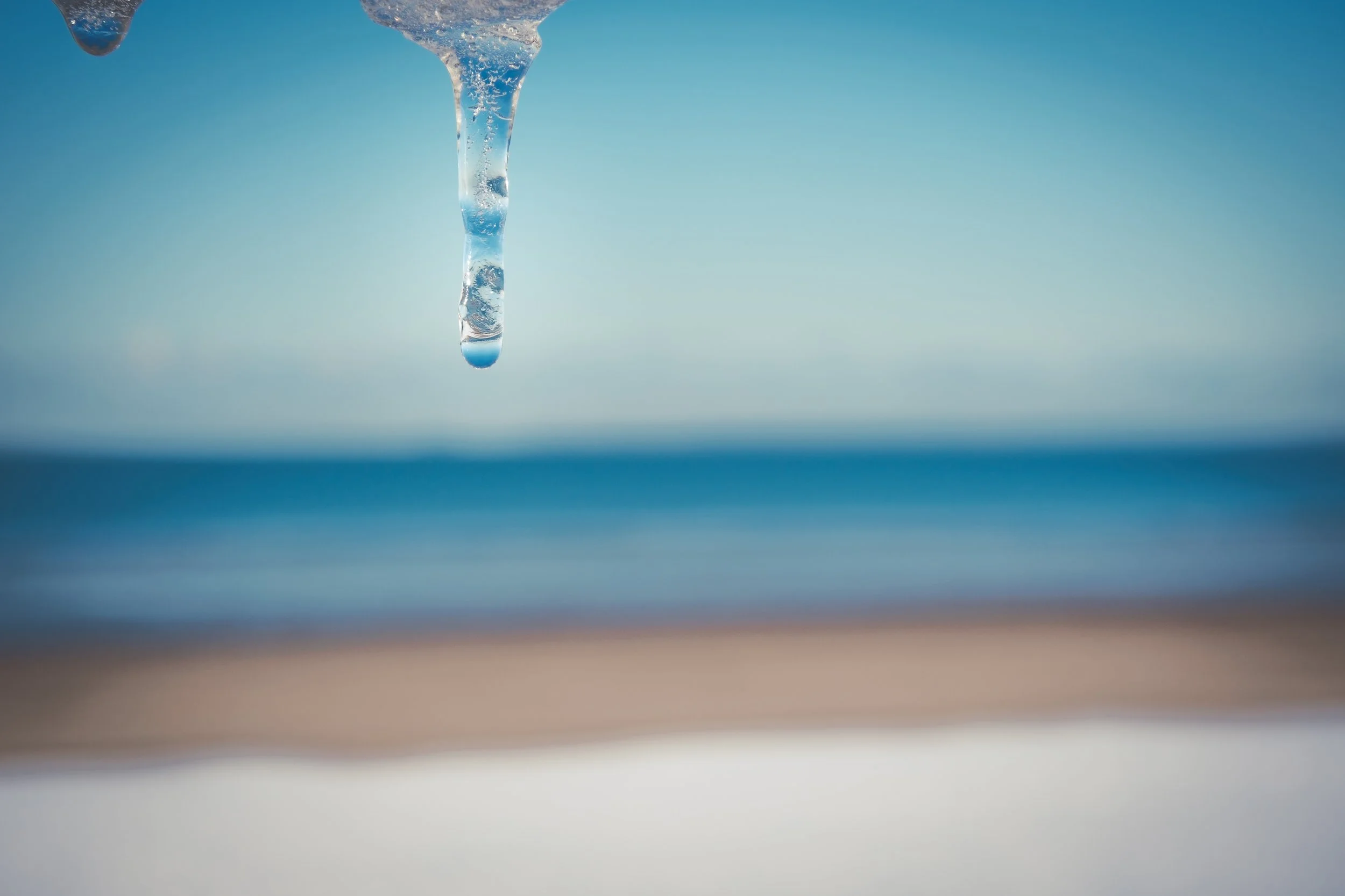 06012026-06012026- 034X-S20.jpg