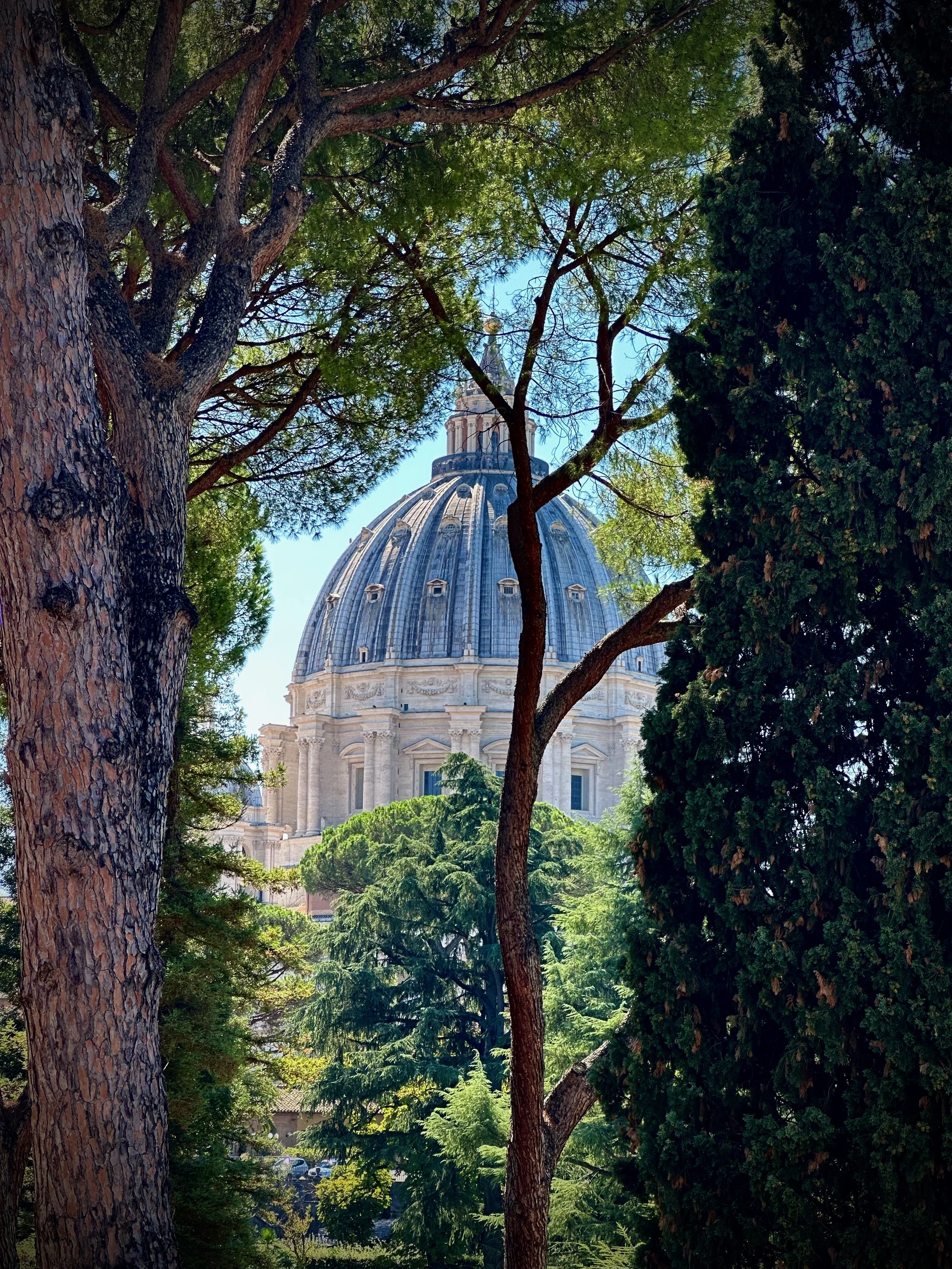 Vue d'une coupole de bâtiment historique, entourée d'arbres feuillus et conifères, avec ciel bleu en arrière-plan.