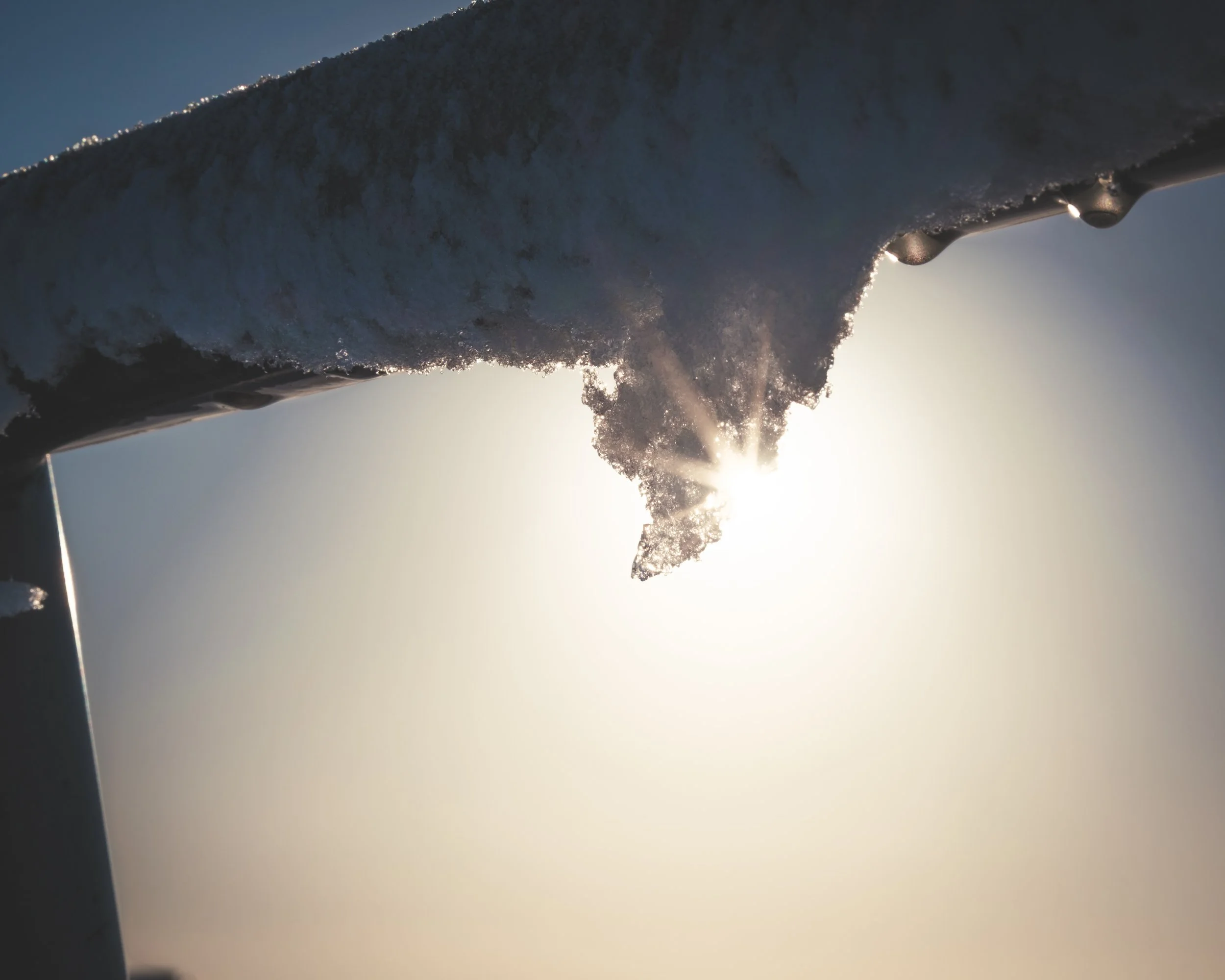 06012026-06012026- 029X-S20.jpg