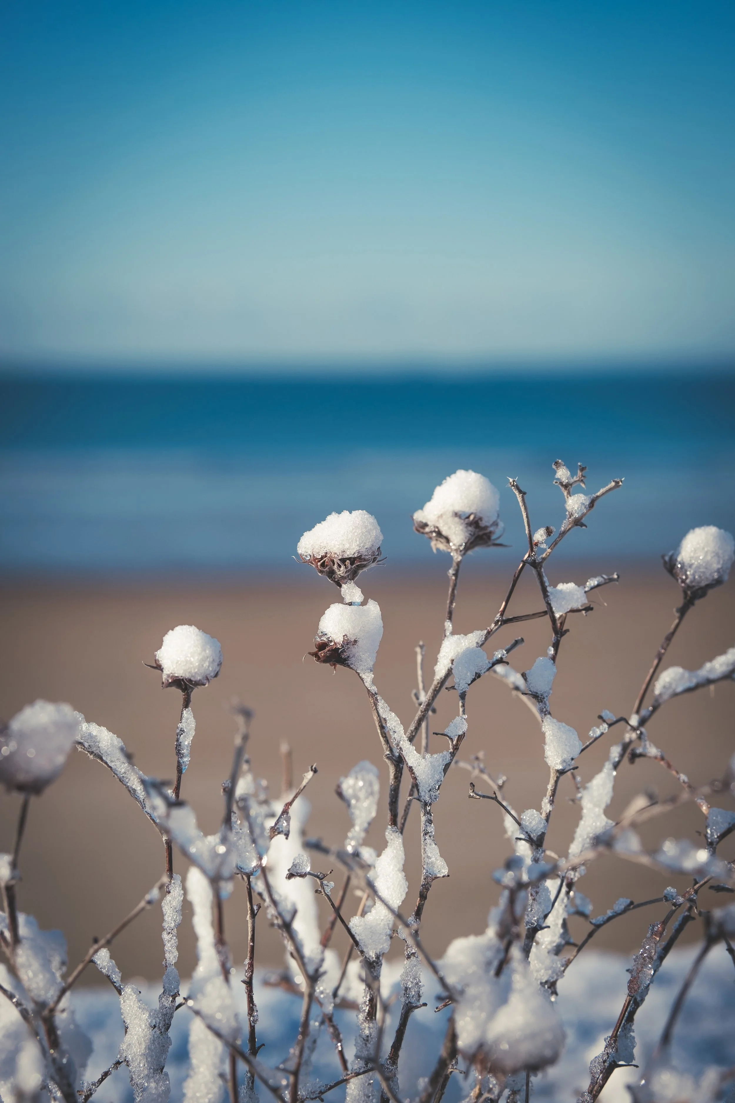 06012026-06012026- 037X-S20.jpg