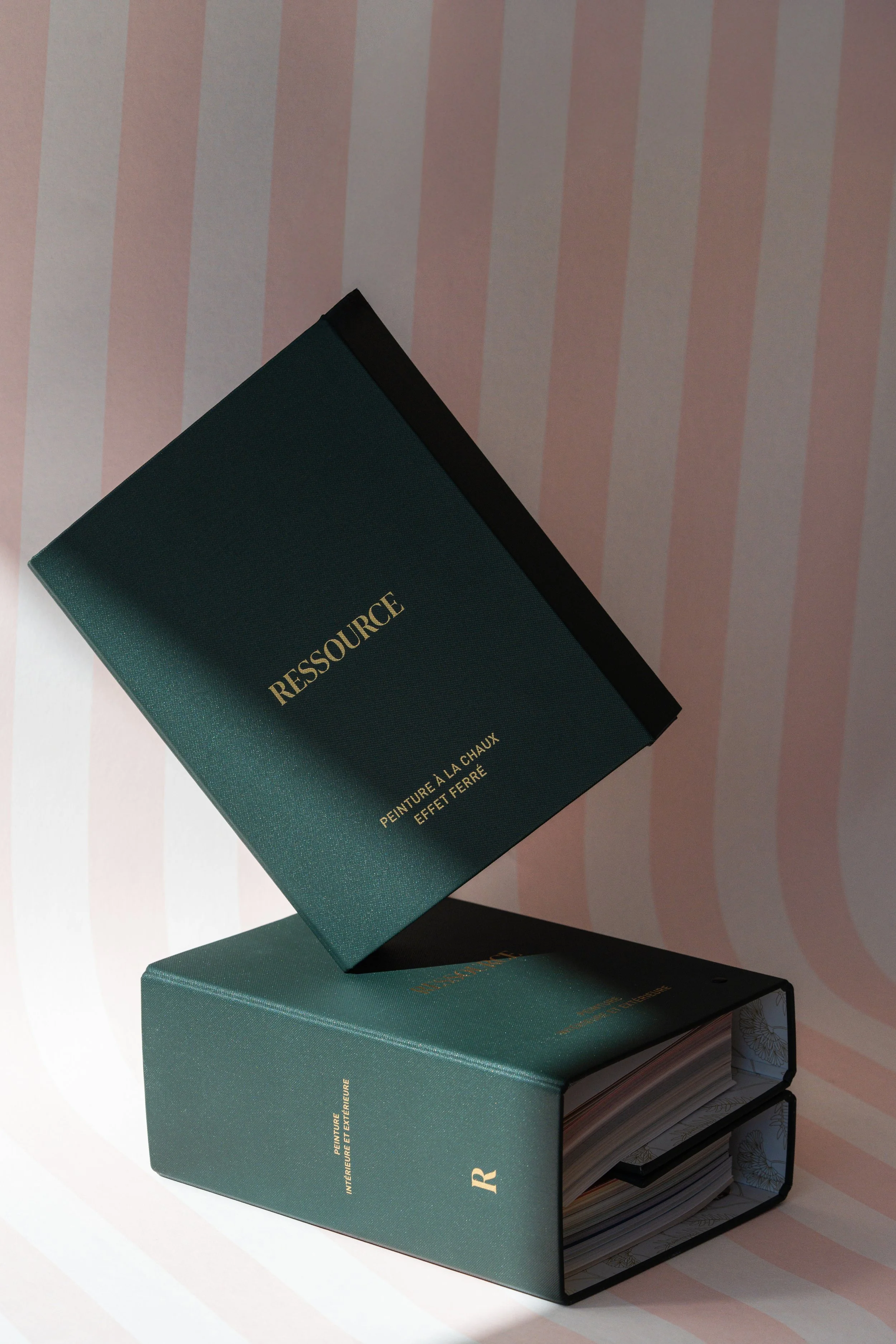 Deux livres vert foncé, l'un posé horizontalement et l'autre en équilibre vertical, avec une couverture en relief brillant, portant le texte "RESSOURCE".