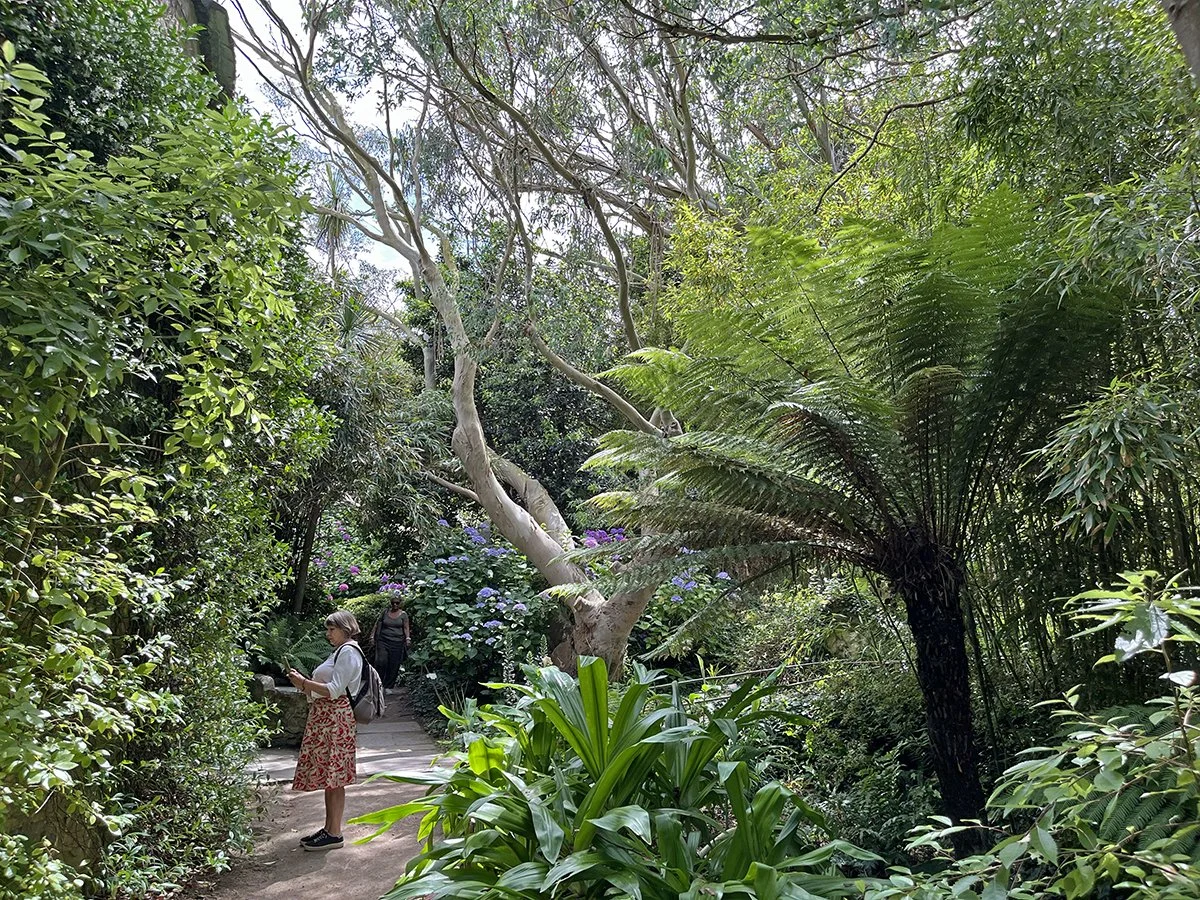 Jardin botanique de Vauville, La Hague, Cotentin, la Manche, Normandie, Normandy, France, Mont Saint Michel