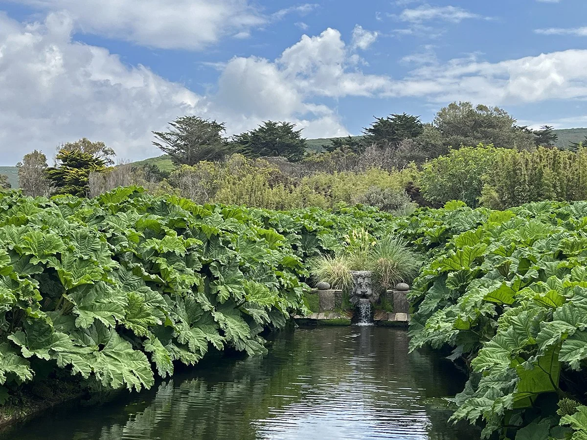 	
Jardin botanique de Vauville, La Hague, Cotentin, la Manche, Normandie, Normandy, France, Mont Saint Michel