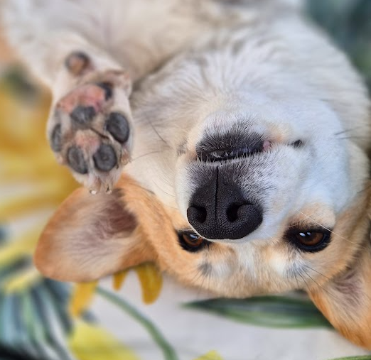 Screenshot 2025-10-27 110024.png