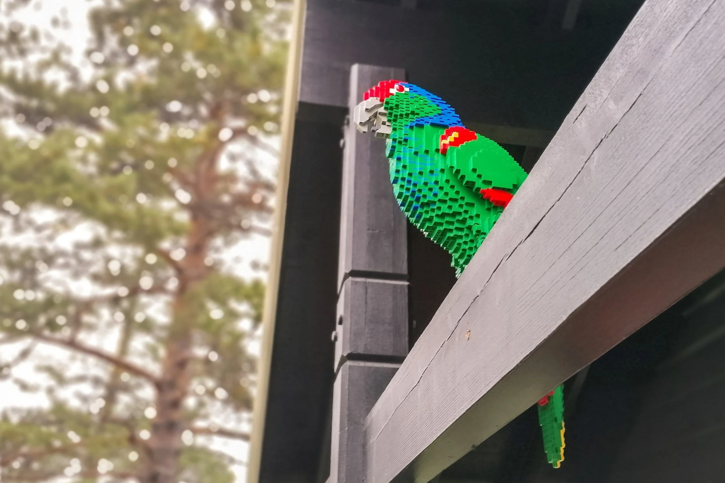 En LEGO-papegøye sitter på bjelke på utsiden av hytte. Foto