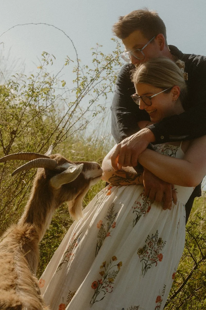 Fotoshooting auf einer Ziegenweide in Frohnhofen