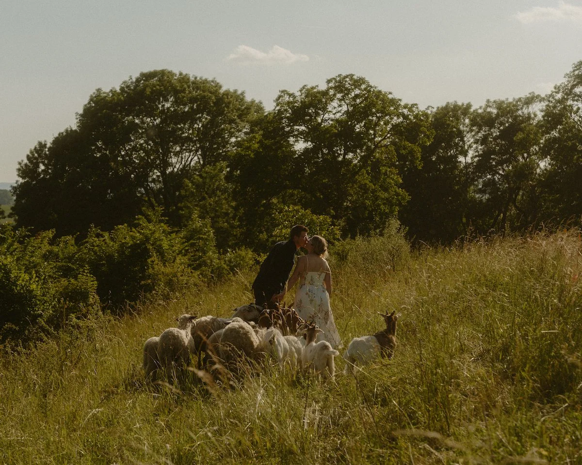 Ein Paar steht innig zwischen Ziegen auf einer Wiese in Laufach-Frohnhofen, eingefangen von einem Hochzeitsfotograf aus Darmstadt mit Blick für echte Verbundenheit.