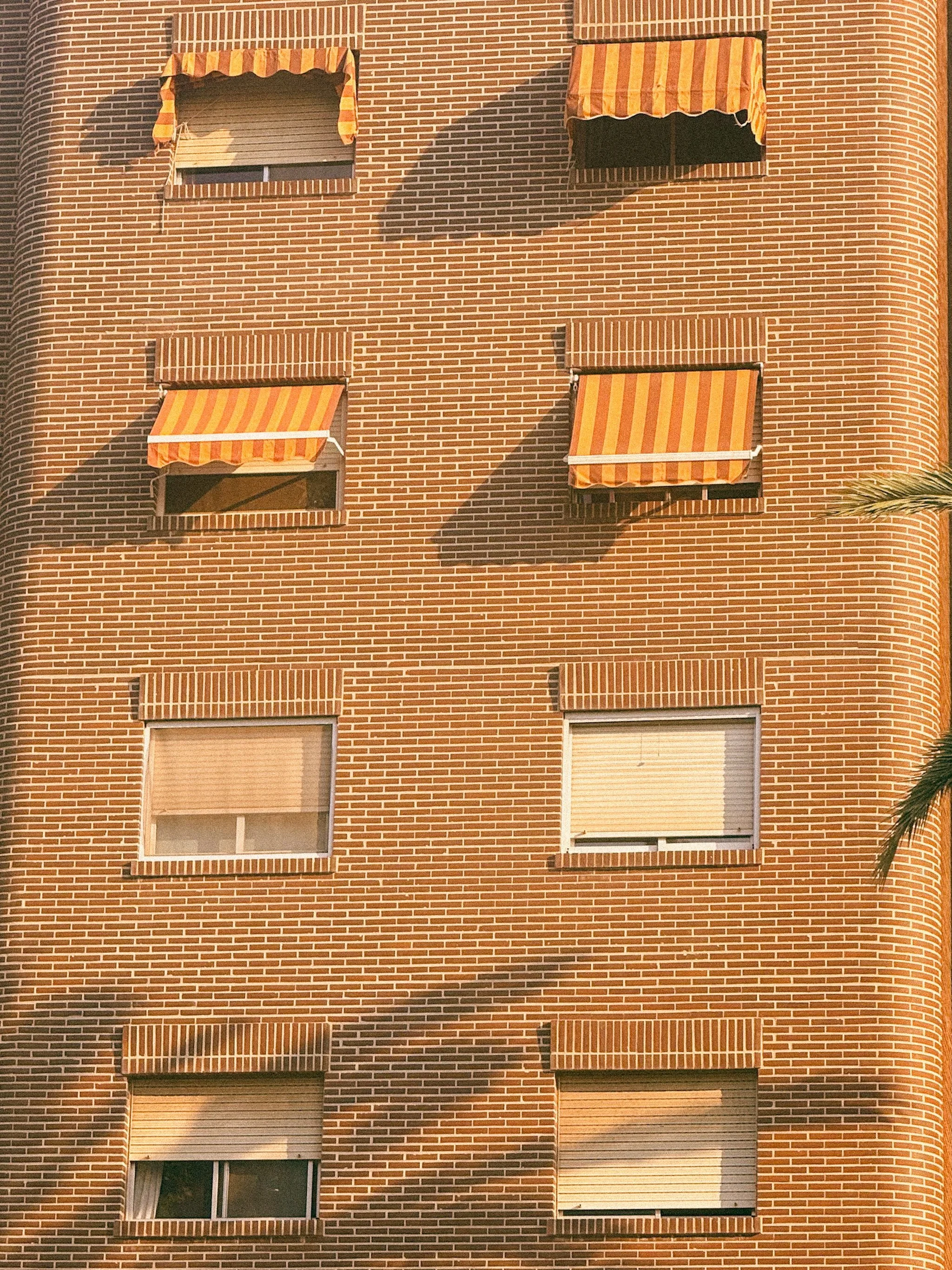 &Ccedil;a sent un peu l'&eacute;t&eacute; non ? ☀️

Souvenir doux et ensoleill&eacute; de l'&eacute;t&eacute; dernier