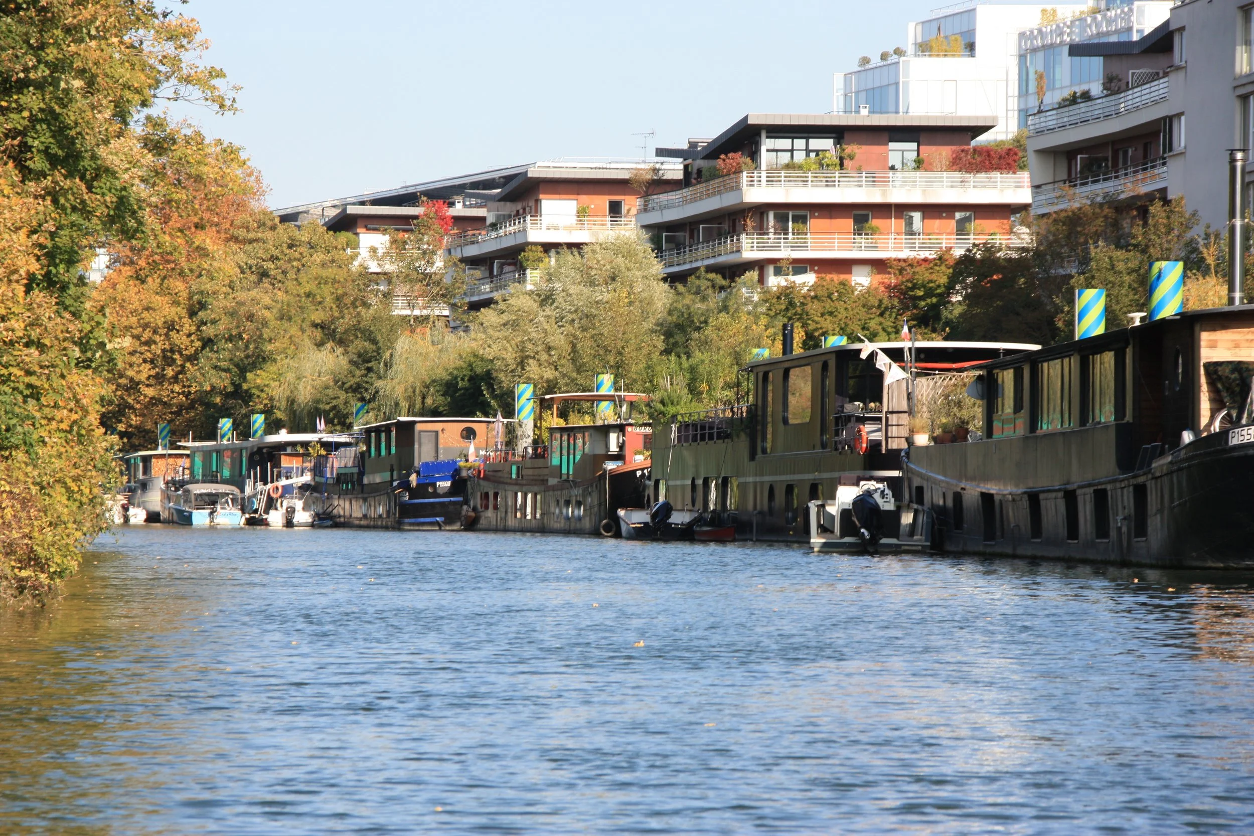 Petit bras, photo, XCG.JPG