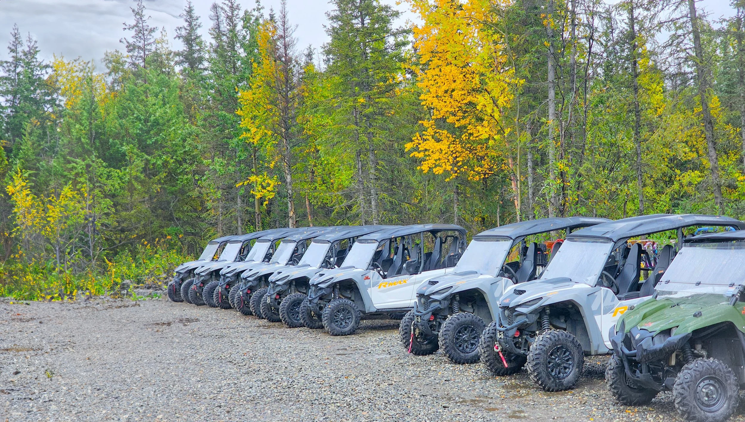 Row Of RTVs.jpg