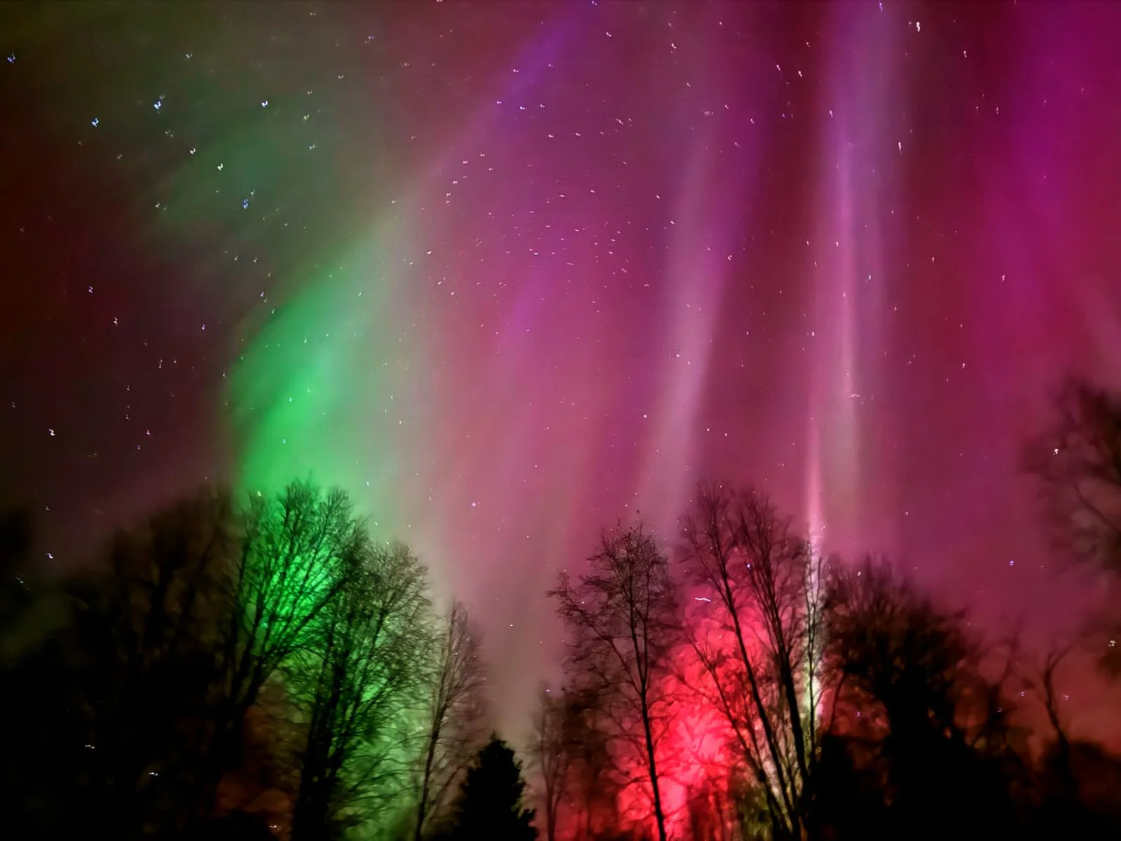 Northern Lights (12th October 2024) Image 6.jpg