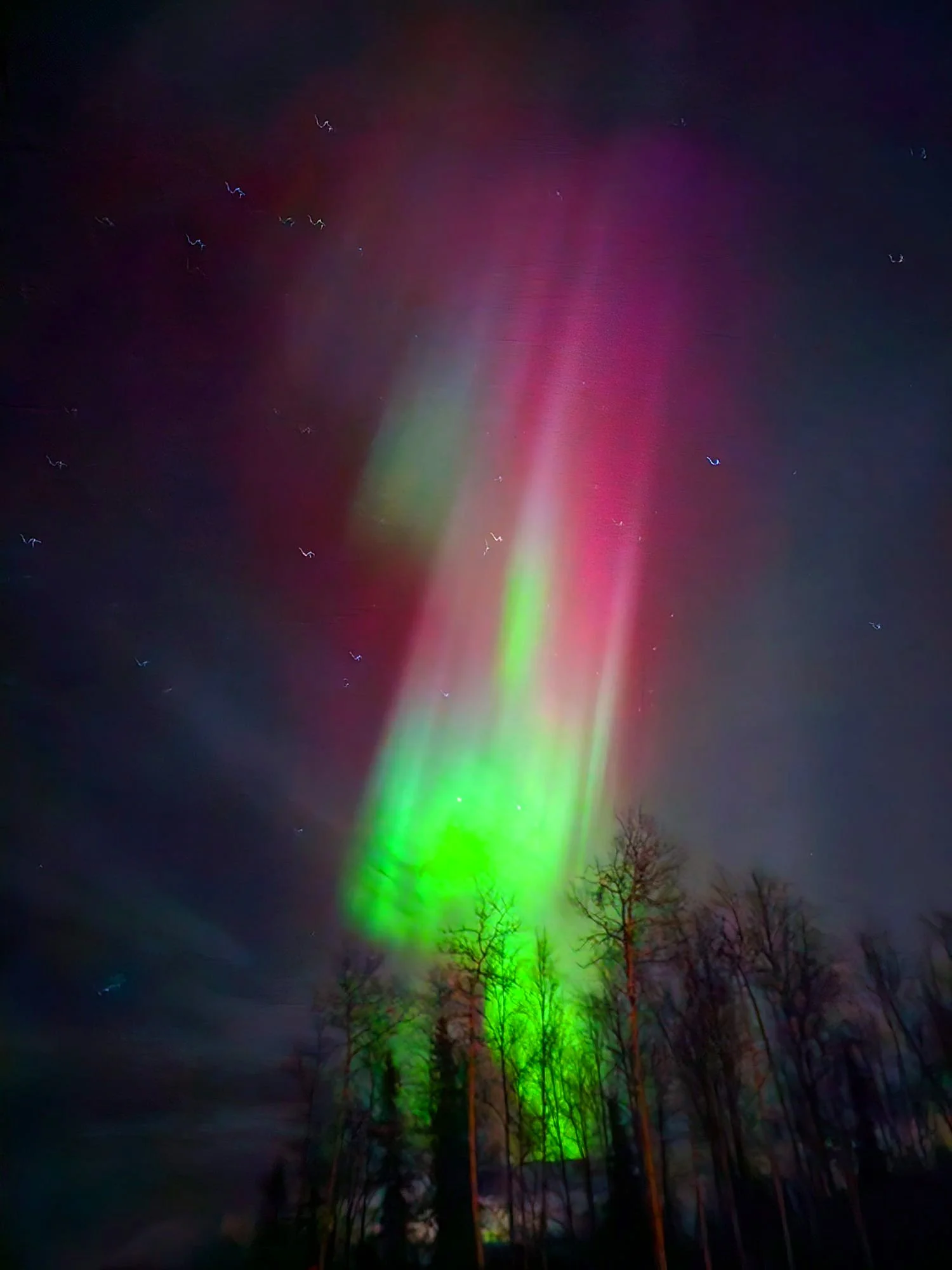 Northern Lights (12th October 2024) Image 17.jpg