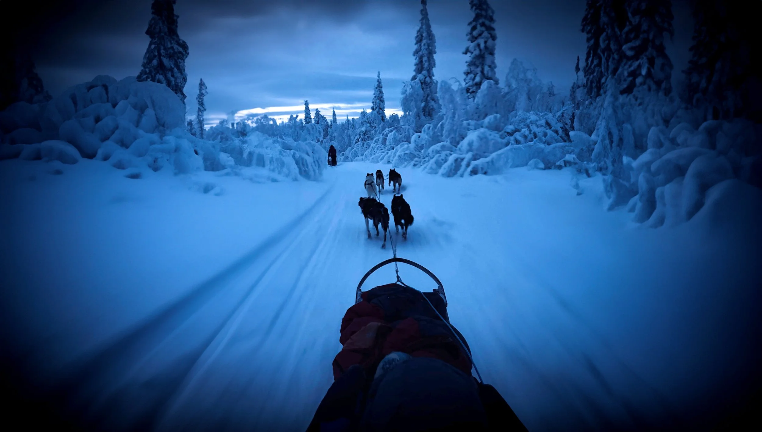 WhatsApp Image 2024-11-25 at 16.04.08.jpg