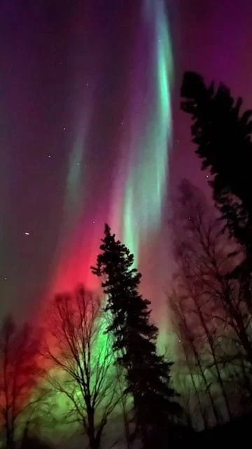 Northern Lights (12th October 2024) Image 10.jpg