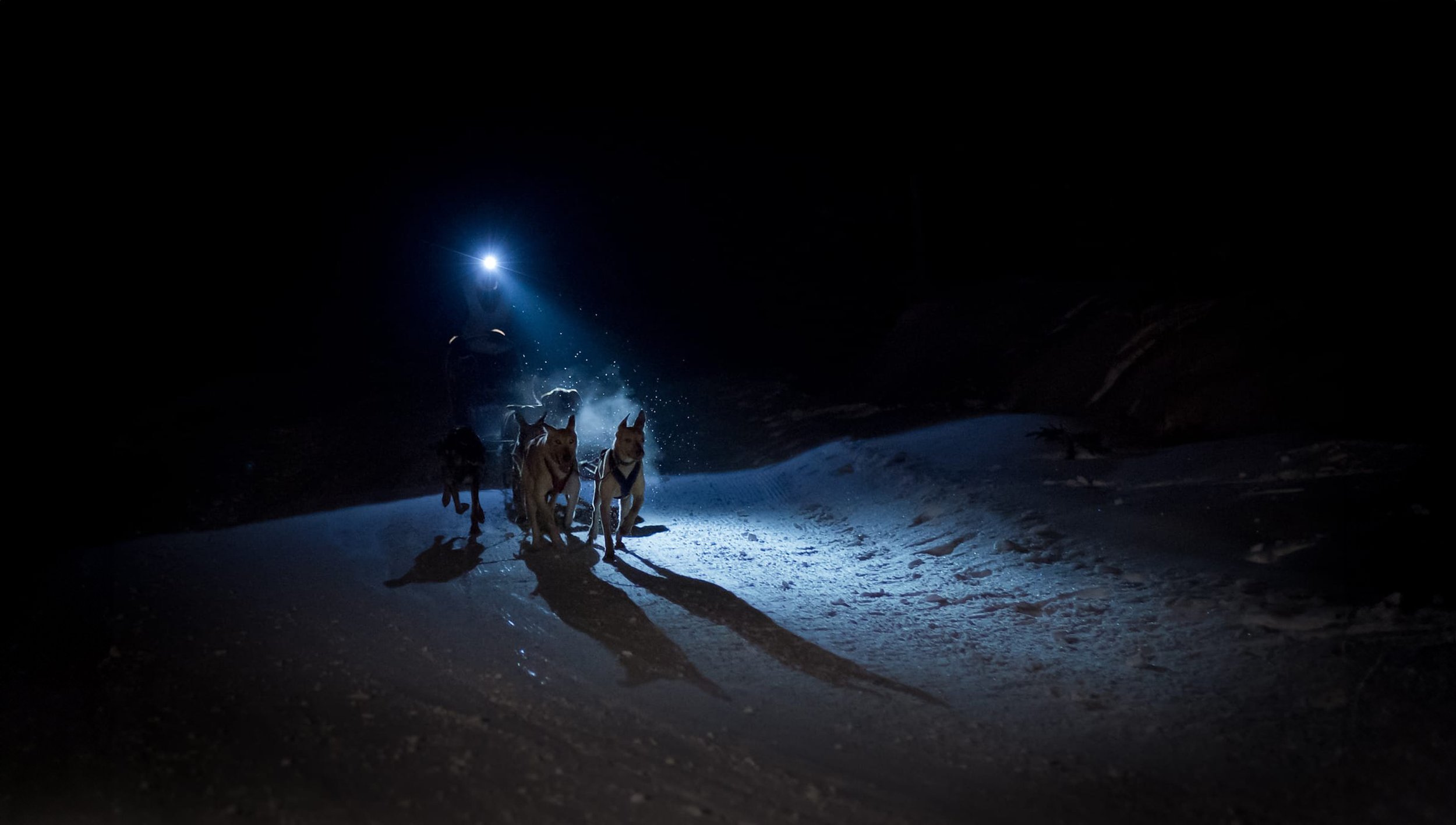 WhatsApp Image 2024-11-25 at 16.04.08 (1).jpg