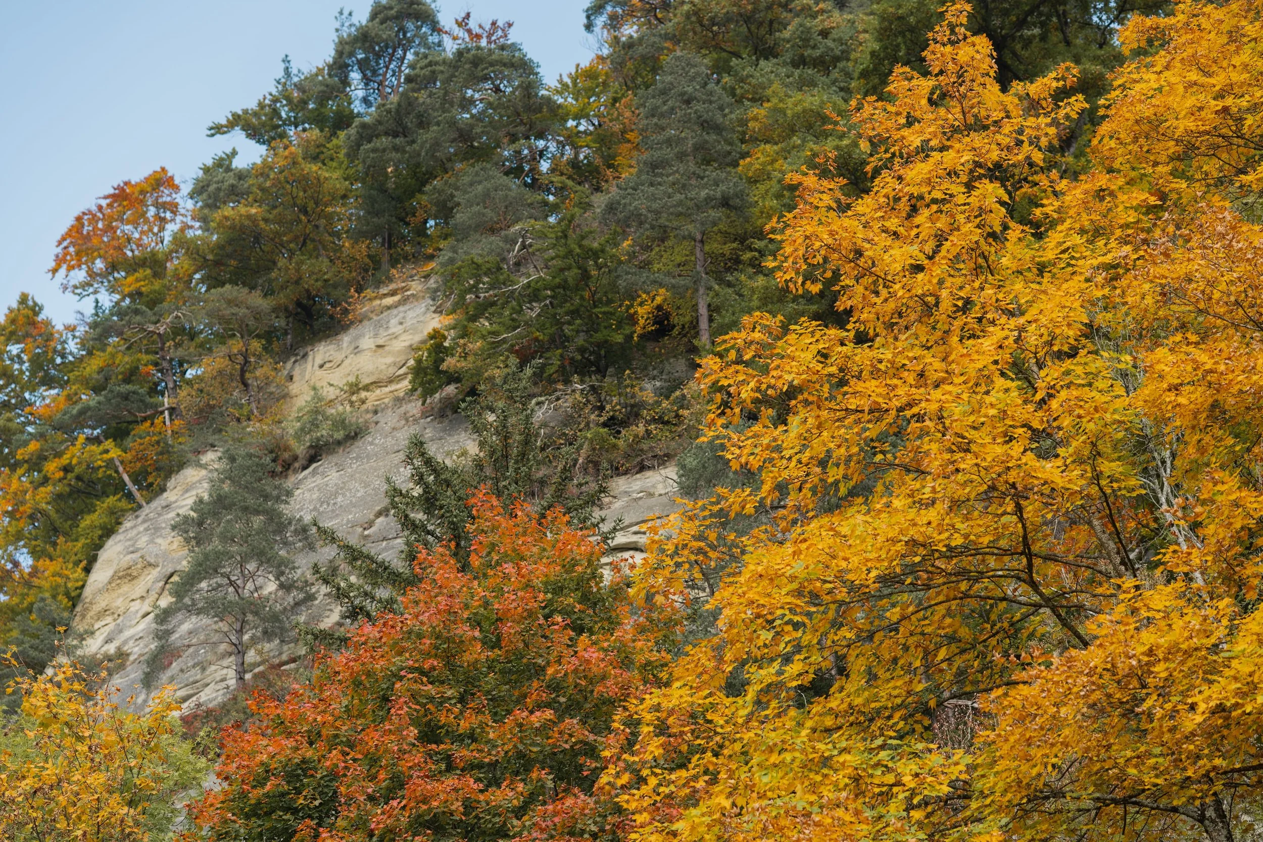 Felsen und buntes Herbstlaub bei Burgdorf – Coaching-Formate in der Natur des Emmentals.