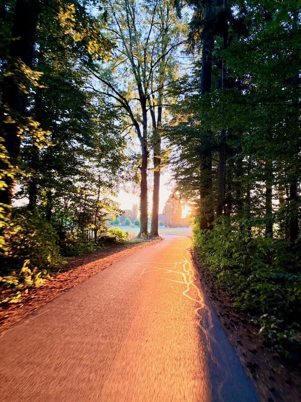 6:30