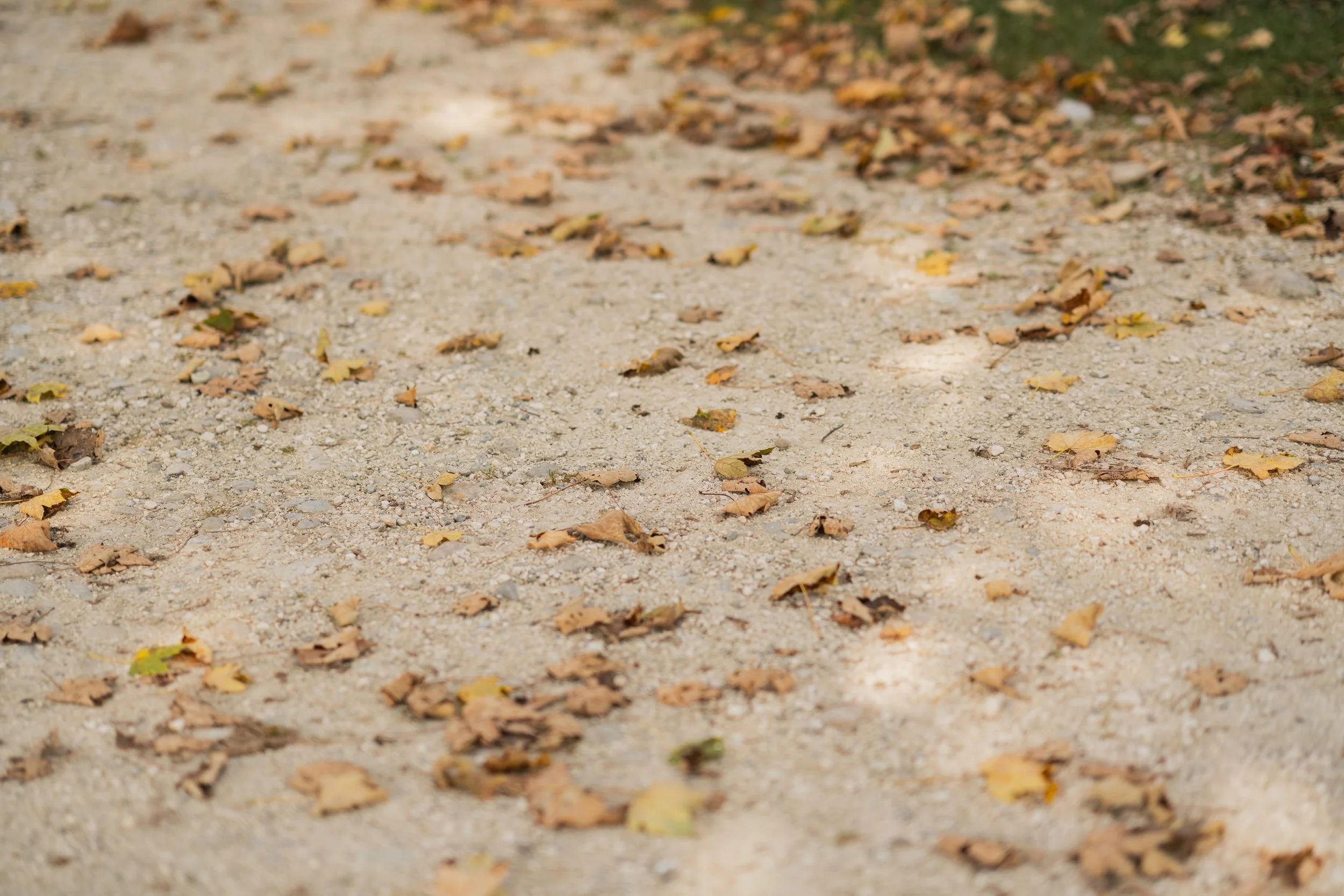 Herbstblätter auf einem Kiesweg – loslassen, innehalten und neue Energie finden.