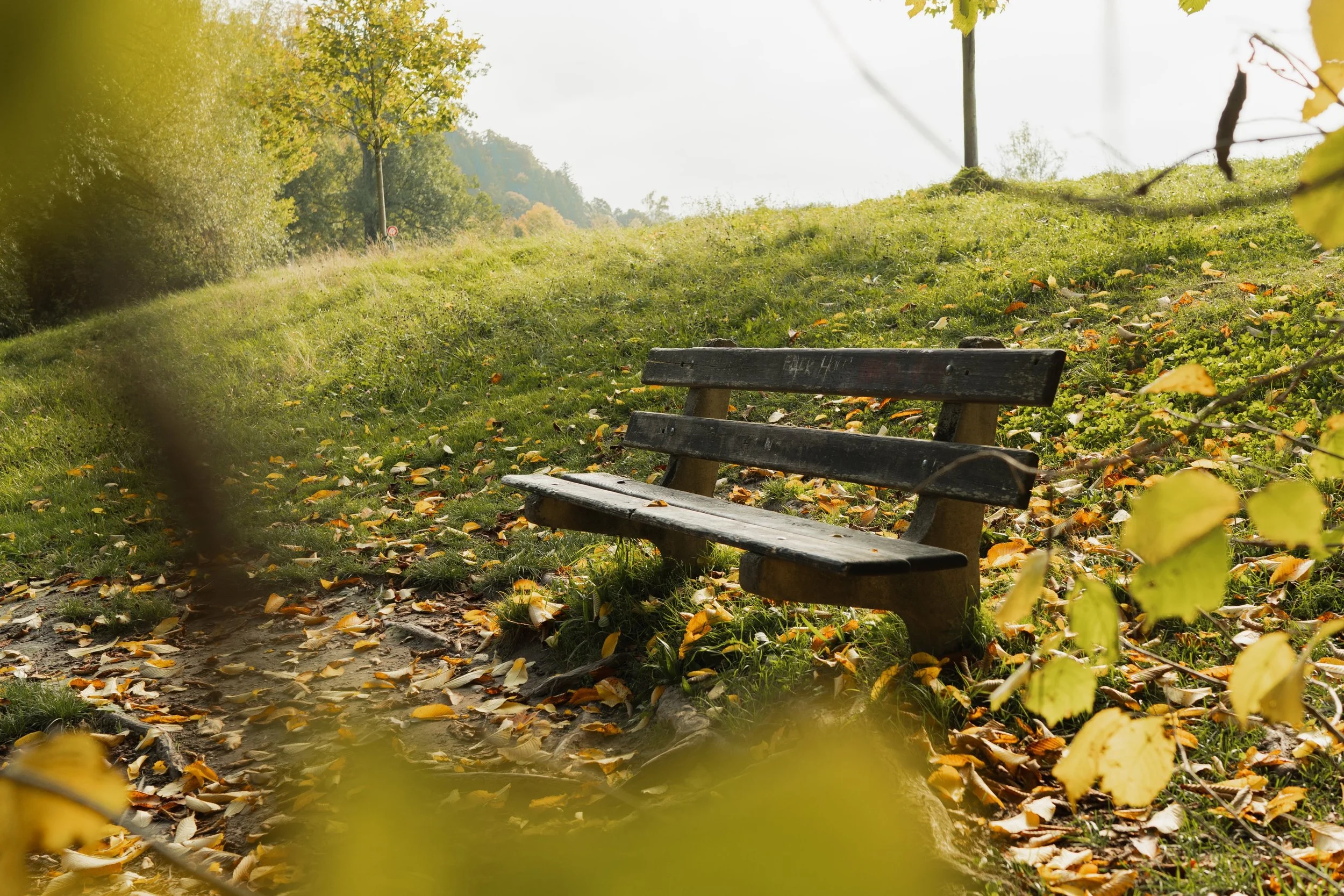 Waldweg im Emmental als Setting für Natur Coaching