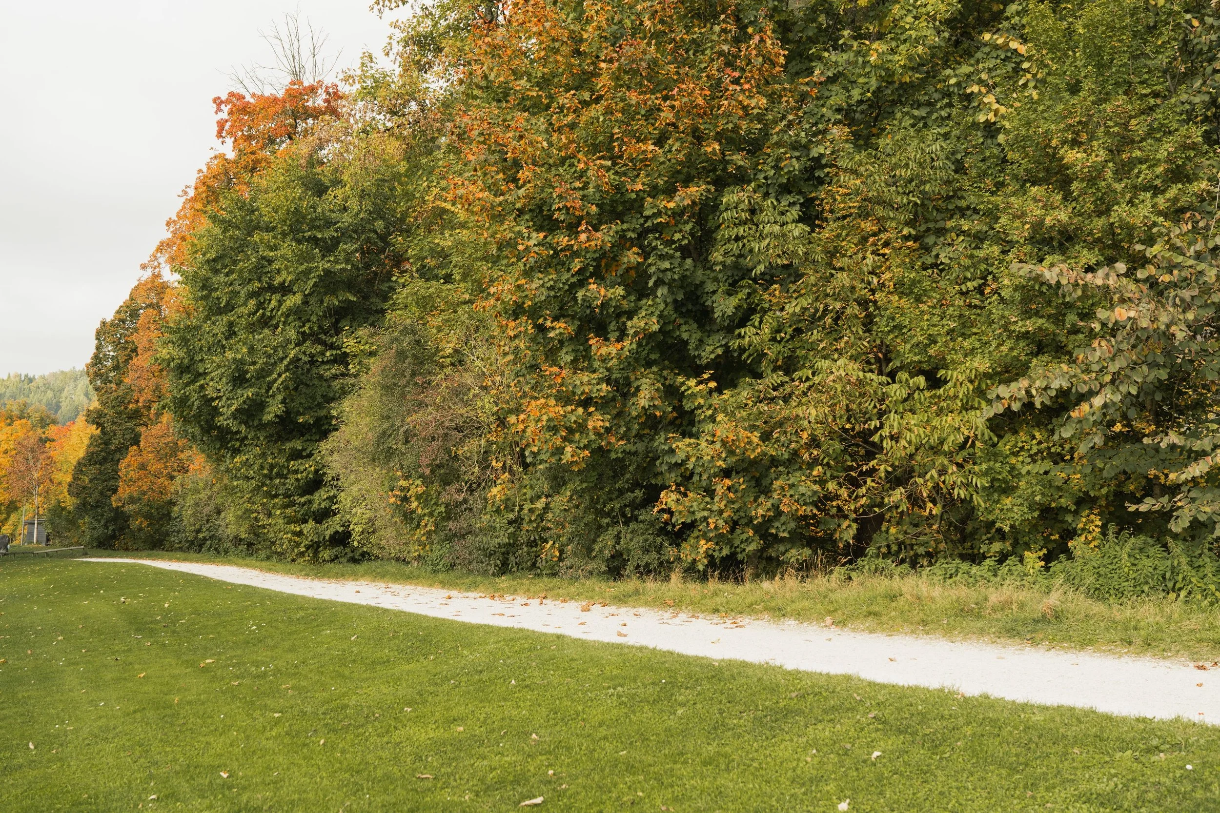 Herbstlicher Weg entlang der Emme bei Burgdorf – ein Bild für Orientierung und Neuanfang.