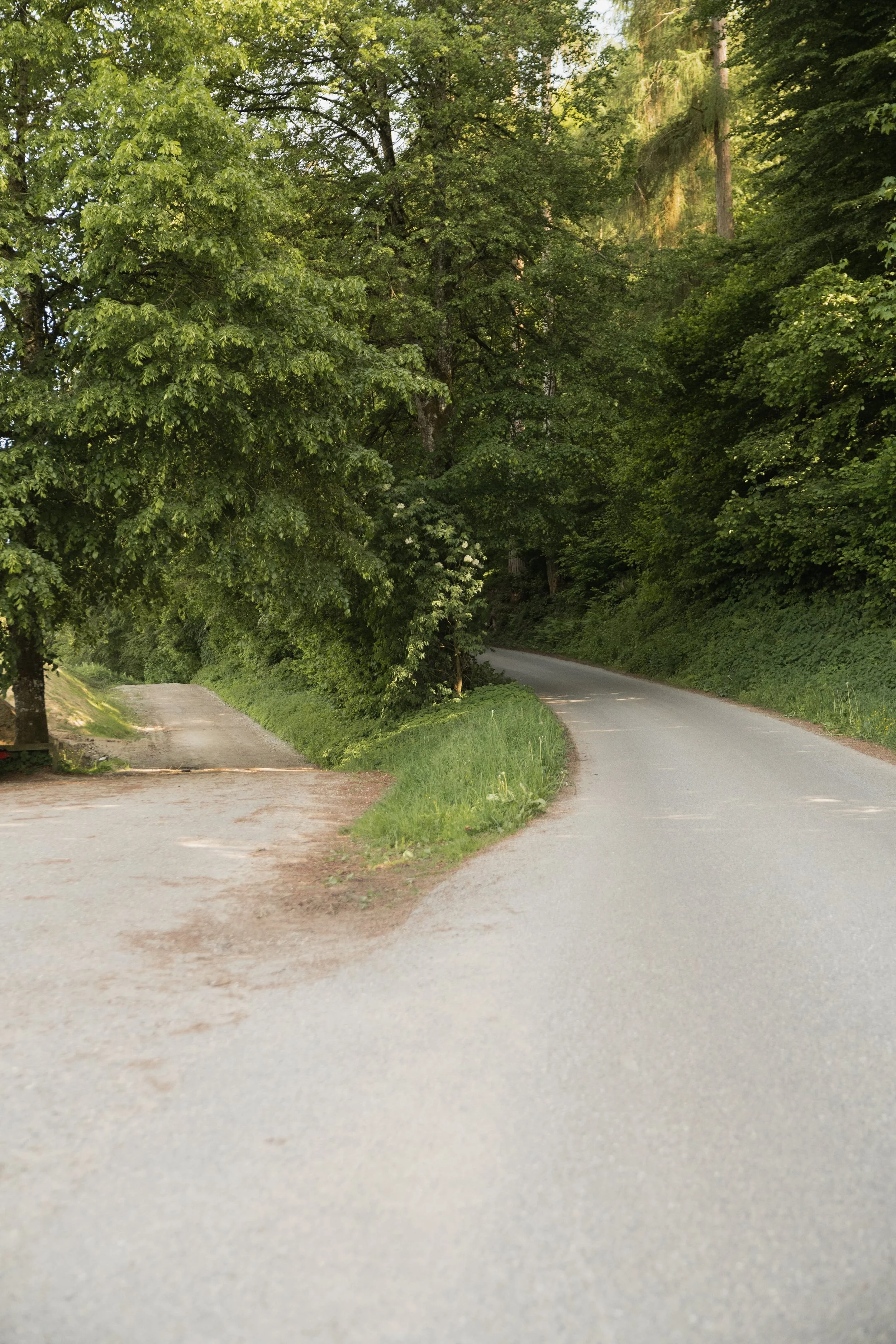 Weggabelung bei Burgdorf – Coaching hilft dir, den richtigen Weg zu finden.