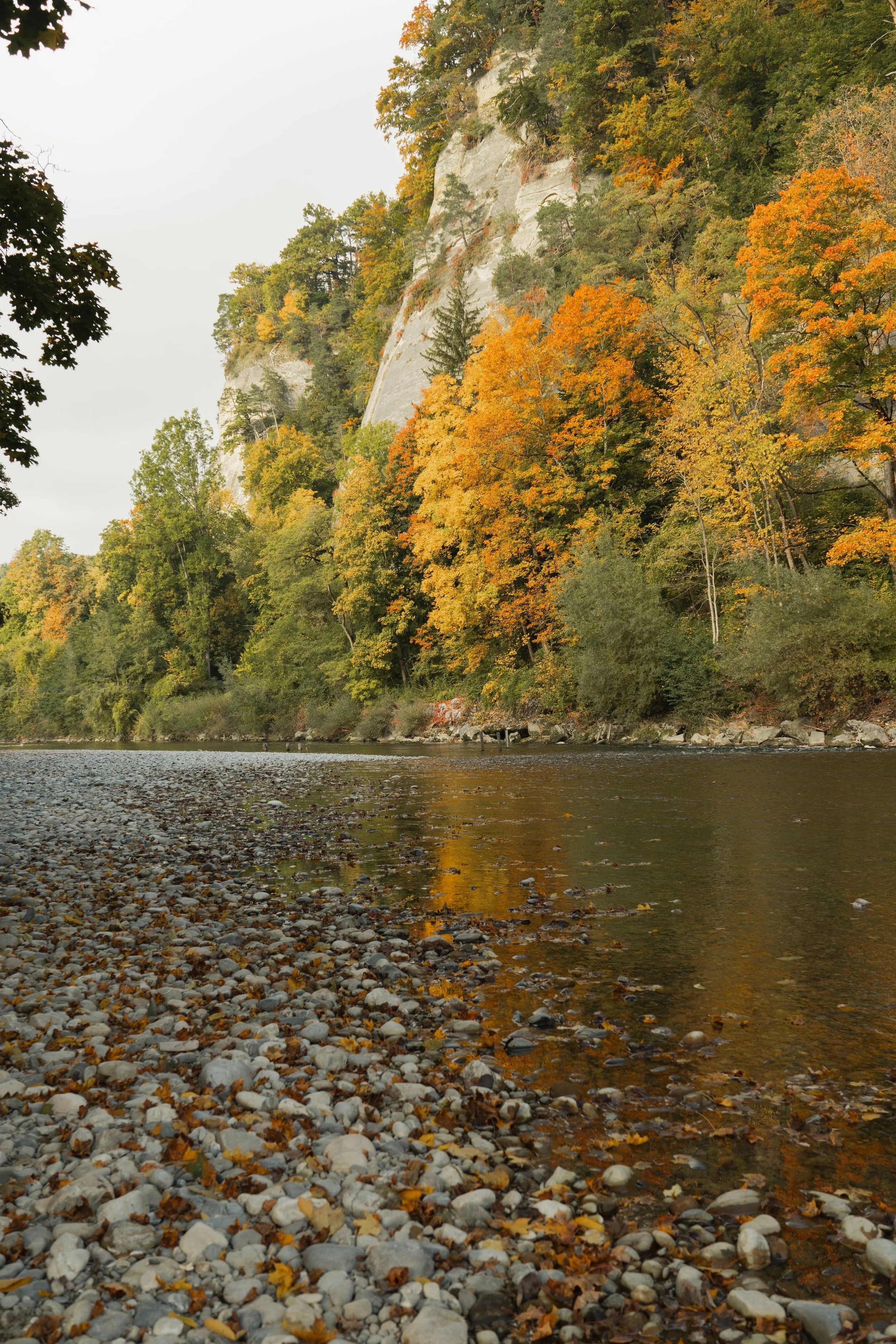 Flussufer der Emme mit Felswand und Herbstwald – Coaching in der Region Burgdorf und Emmental.