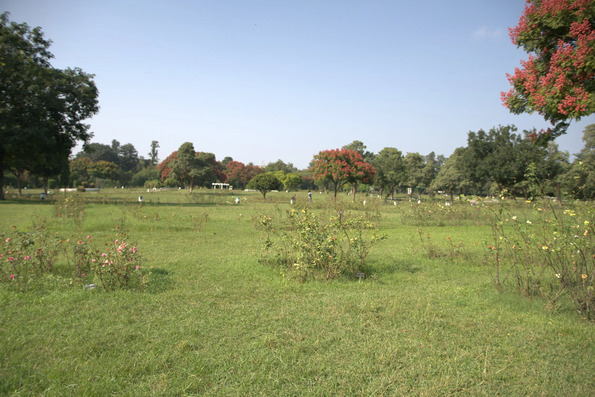 DSC01153.jpg