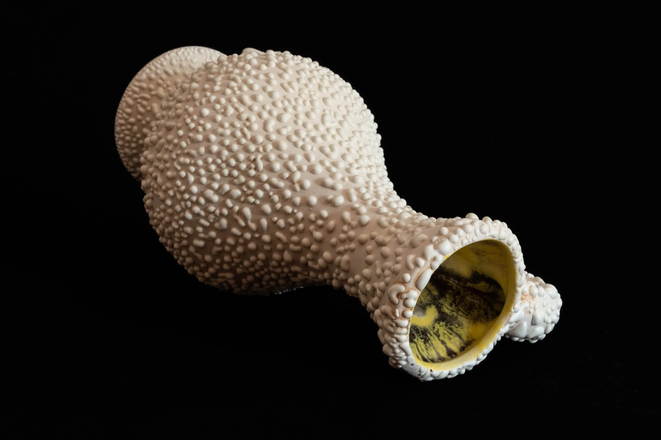 A large, textured coral-shaped object with a hollow interior and a yellow and black pattern inside, placed on a black background.
