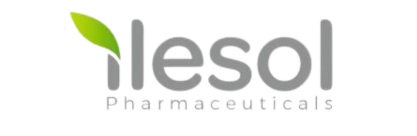 Logodesign med teksten 'Leso' i grå bogstaver med grøn skygge, over en grøn baggrund.