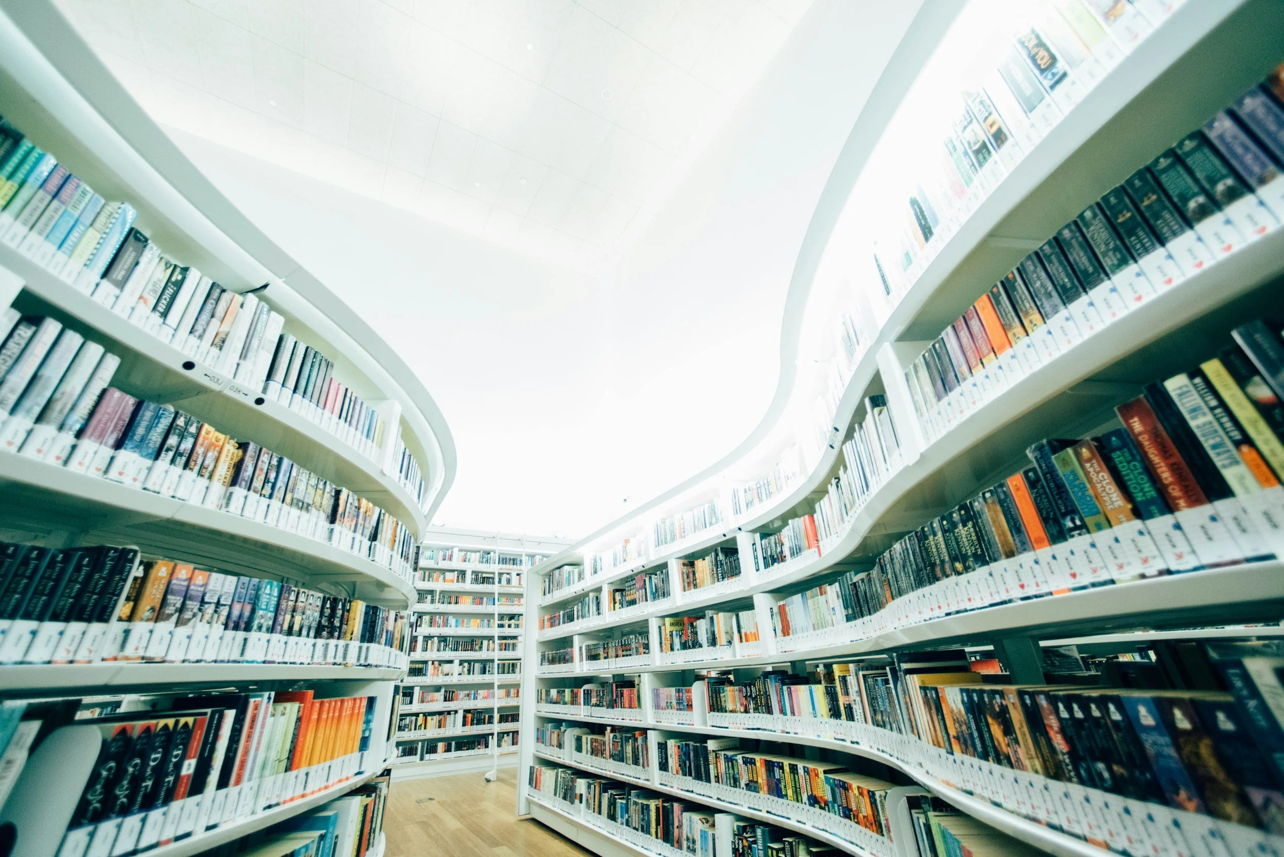 How to Write a Literature Review (Without Getting Lost)
