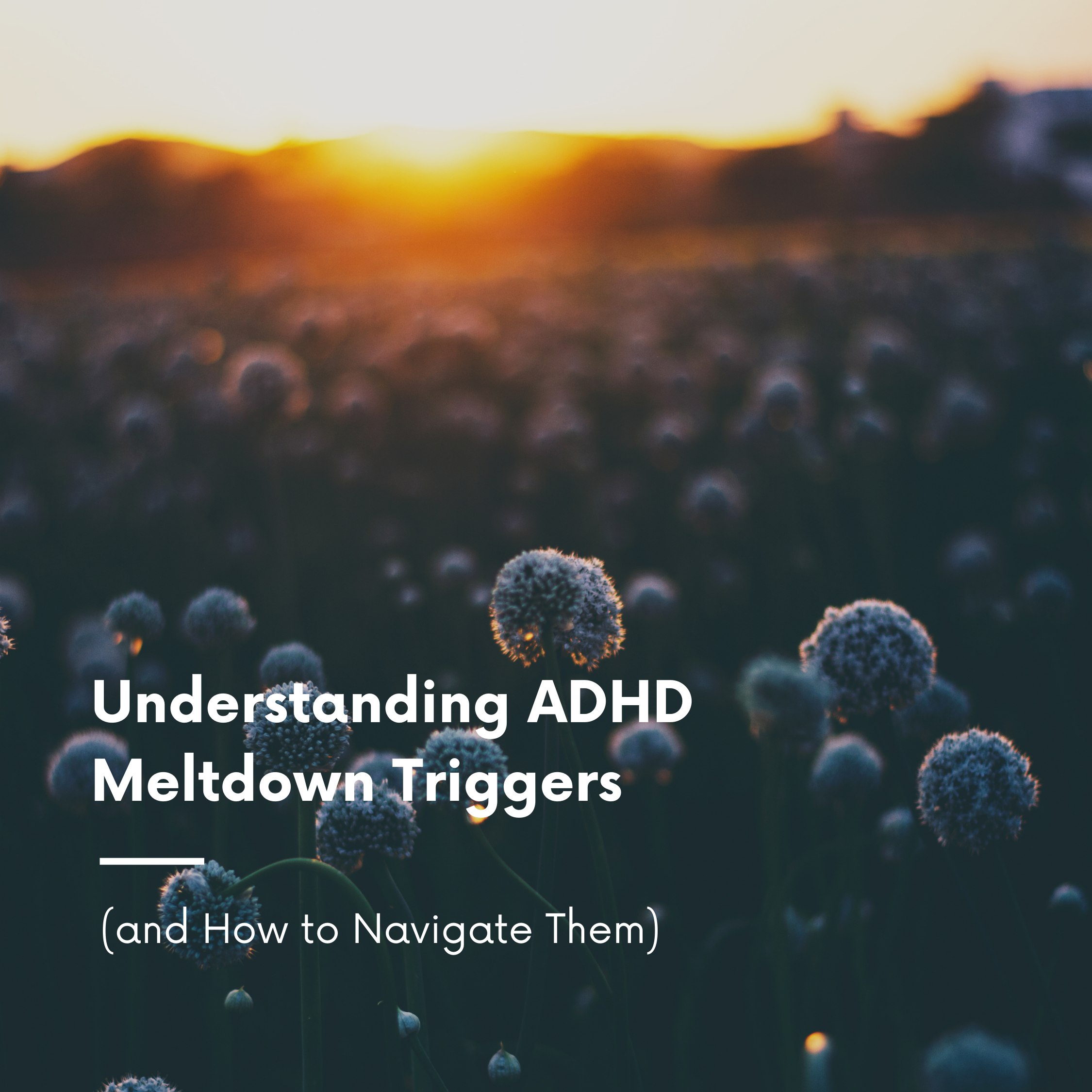 Understanding ADHD Meltdown Triggers (and How to Navigate Them)