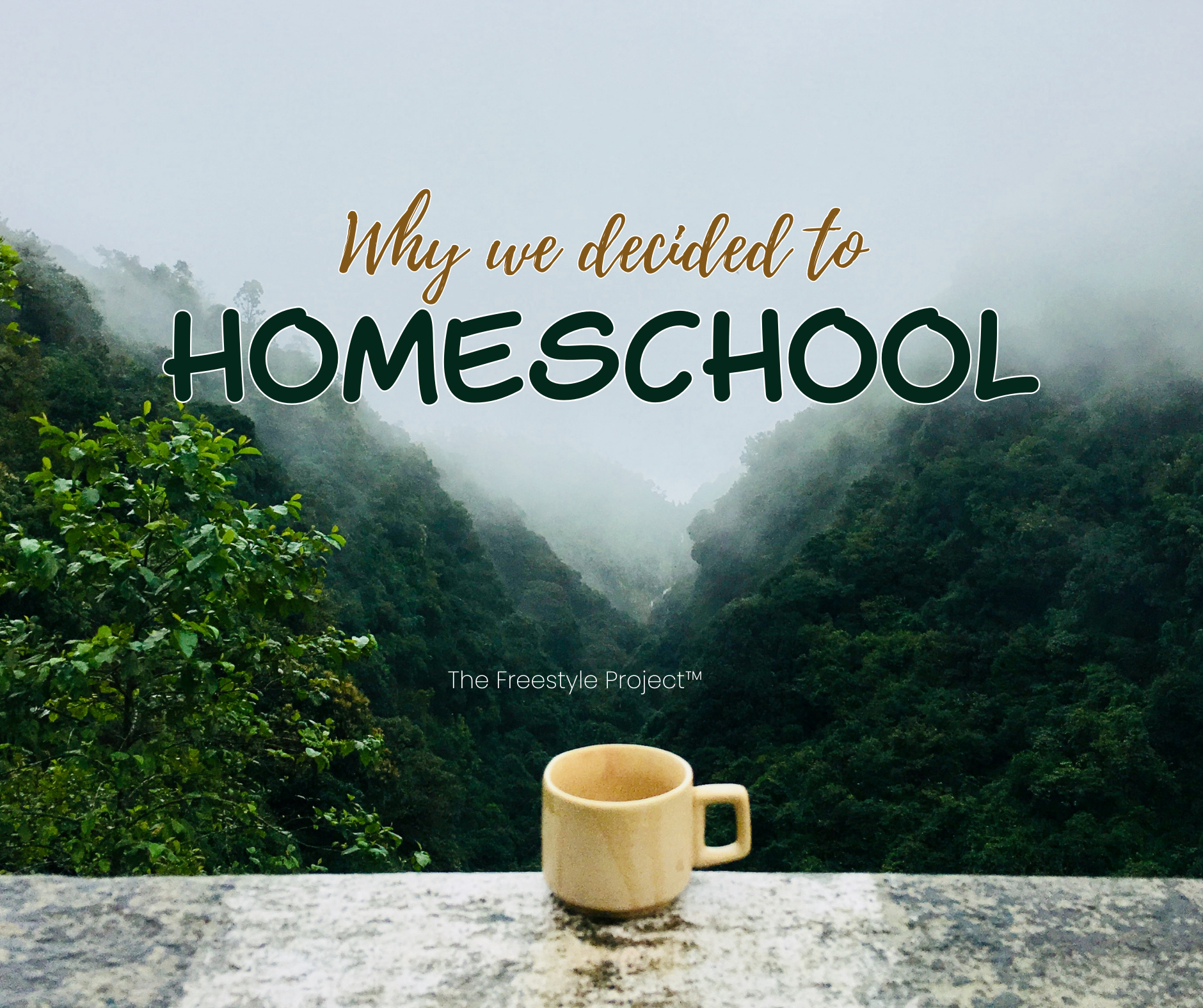 WHY WE DECIDED TO HOMESCHOOL