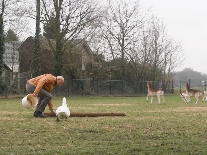 Voorzorgcirkels in de praktijk: een inspirerend verhaal van VGZ