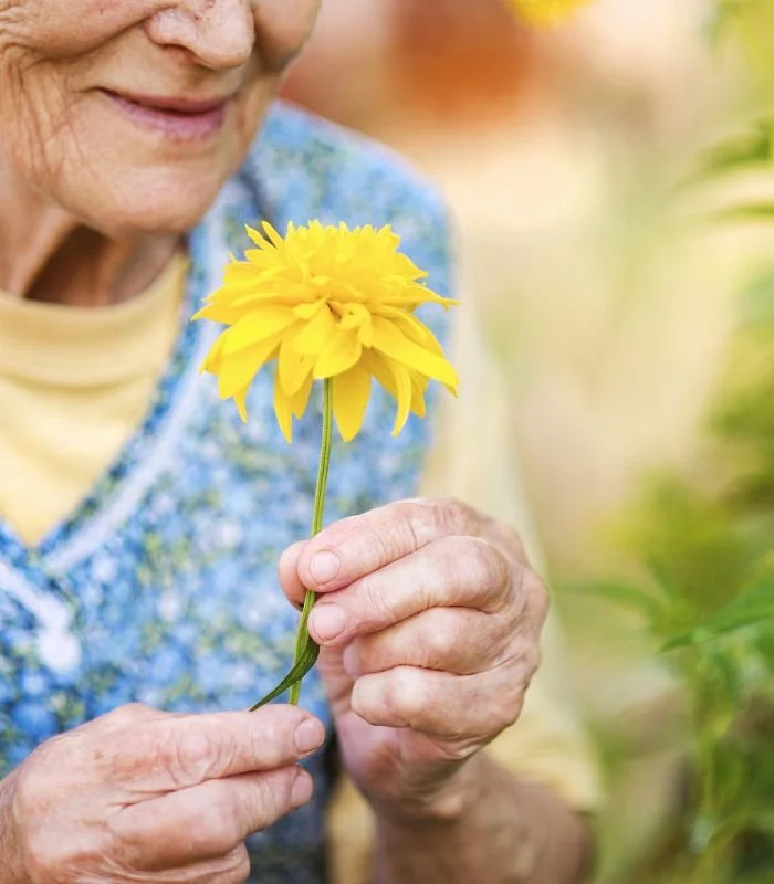 Senioren Overijssel.jpg