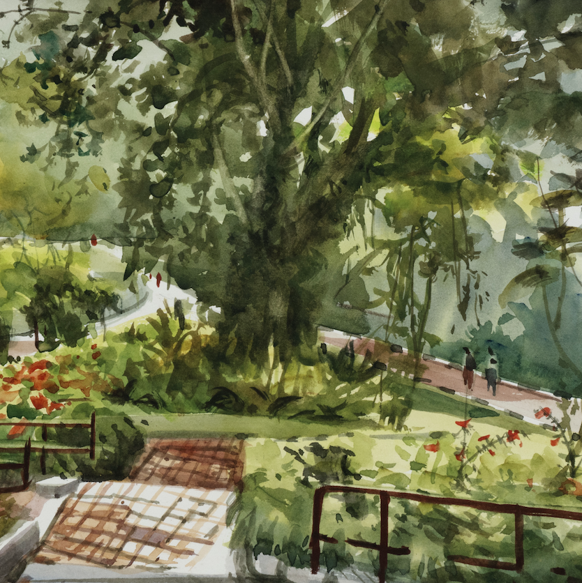 MacRitchie Reservoir
