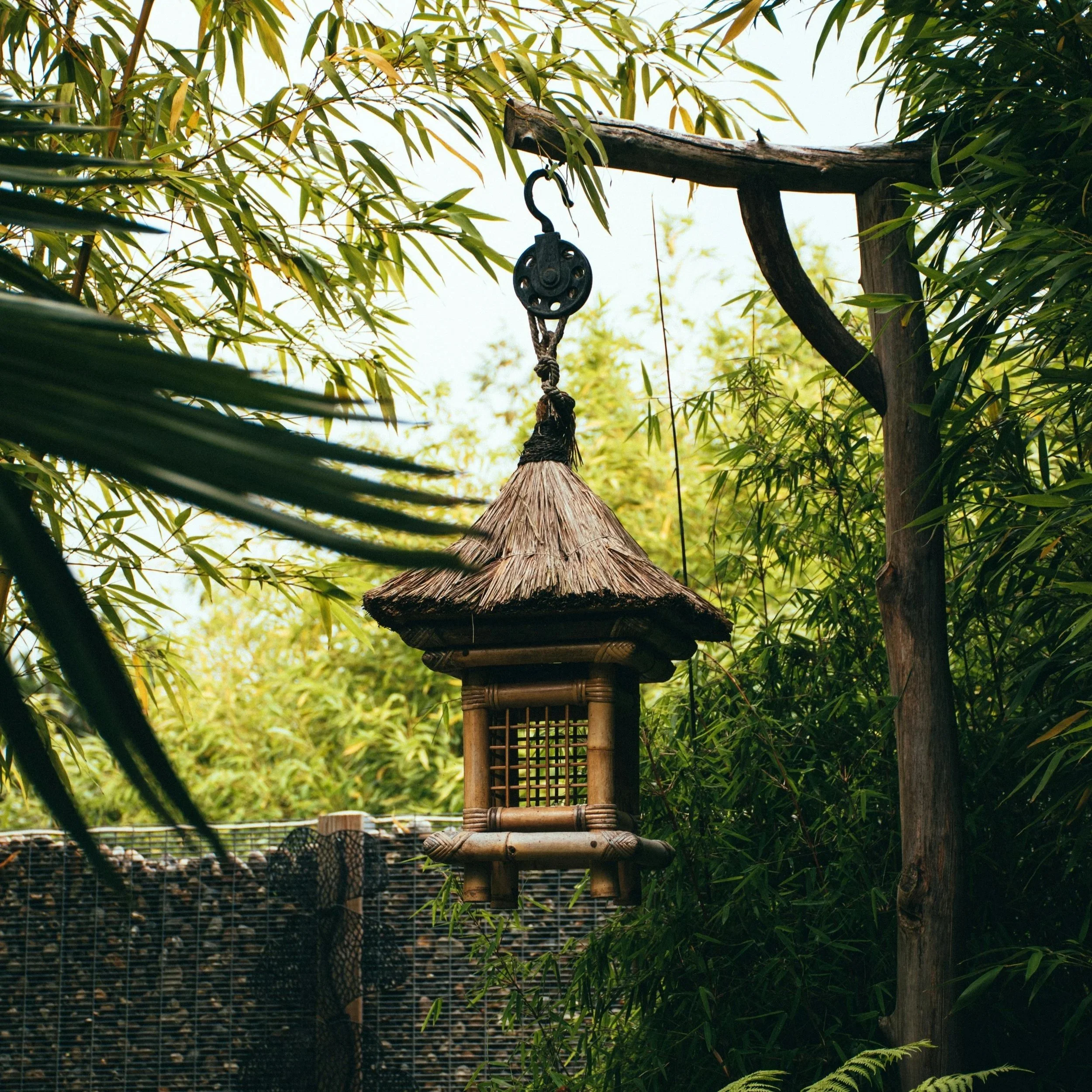 Reclaim Your Heart Energy – Solstice Edition