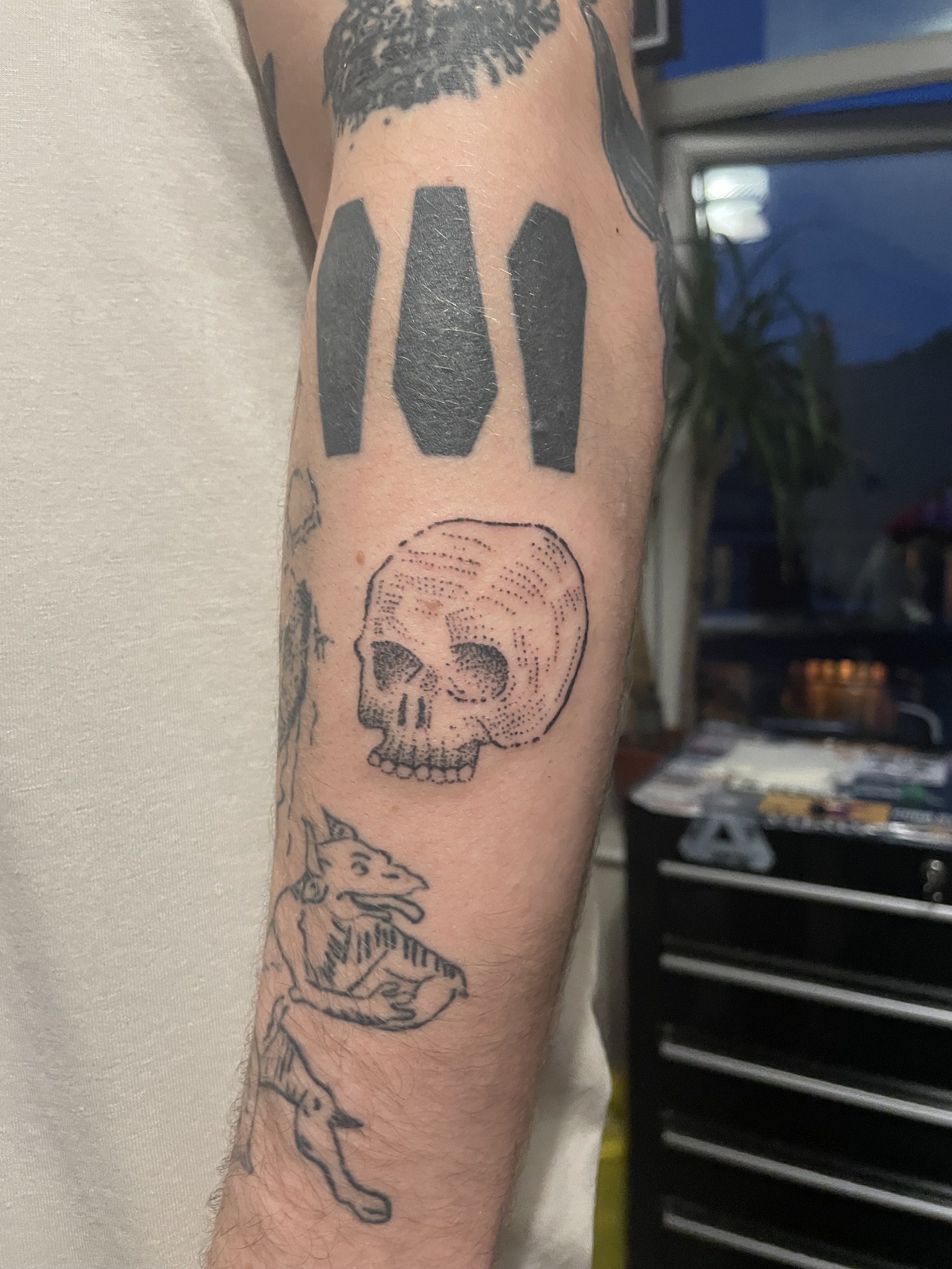 IMG_3767.jpeg