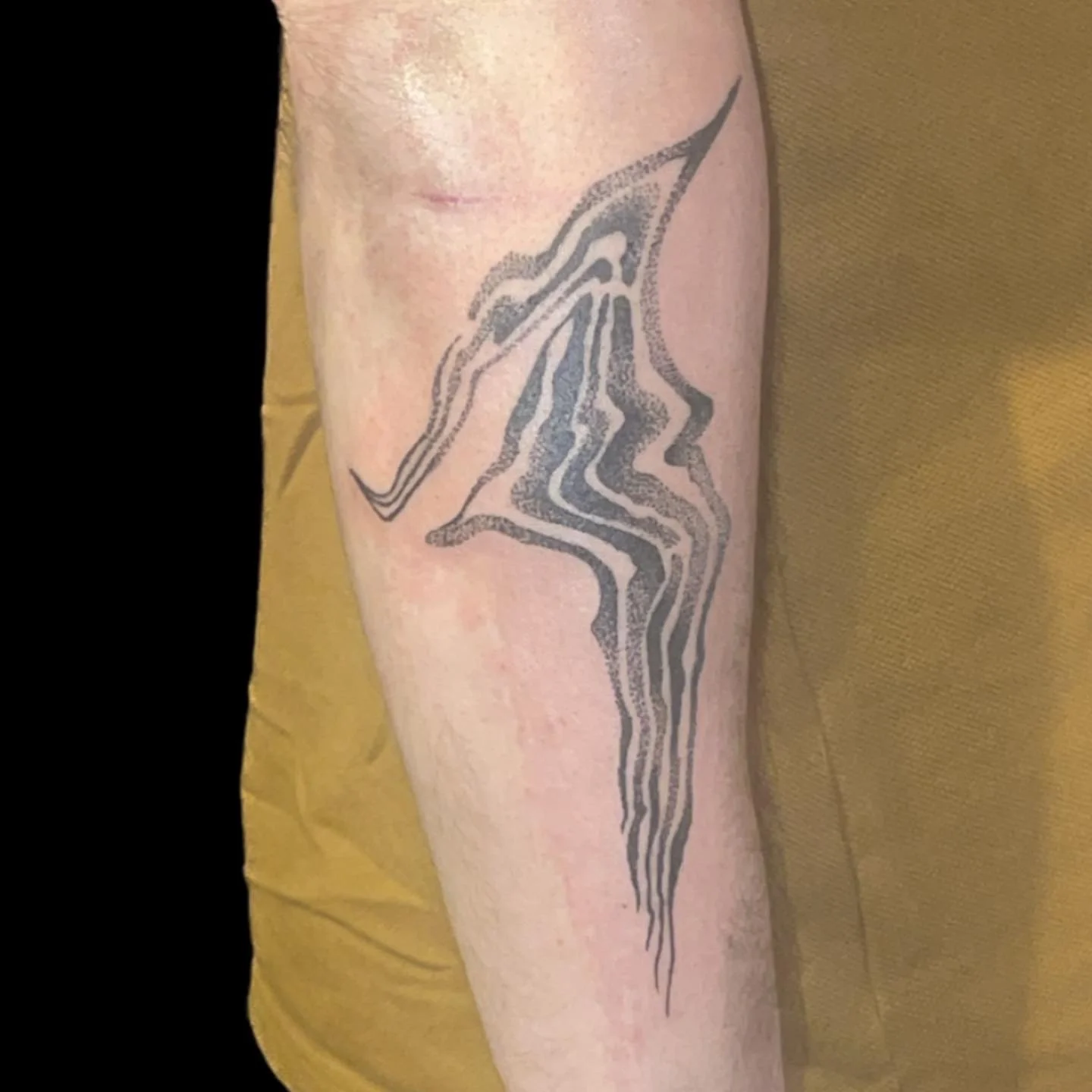 B0DA32AA-AD85-4765-A114-4C9837968909.jpeg