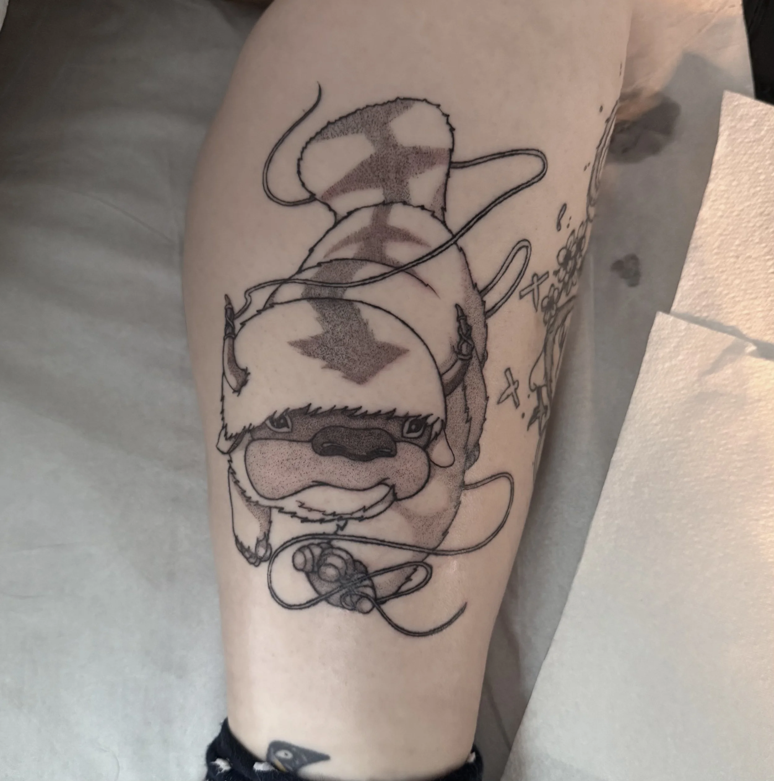 IMG_3944.jpeg