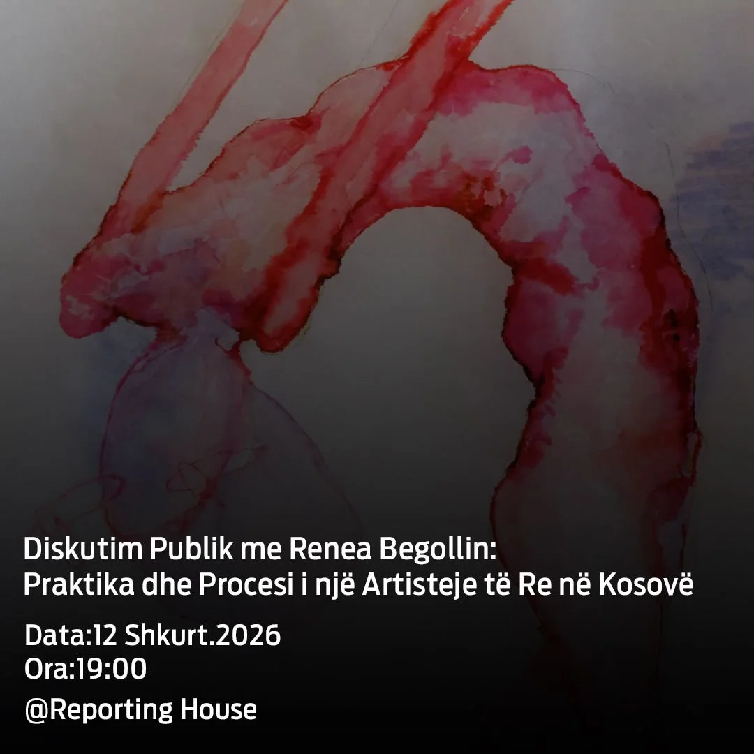 Public Discussion - Practice and Process of a young artist in Kosova