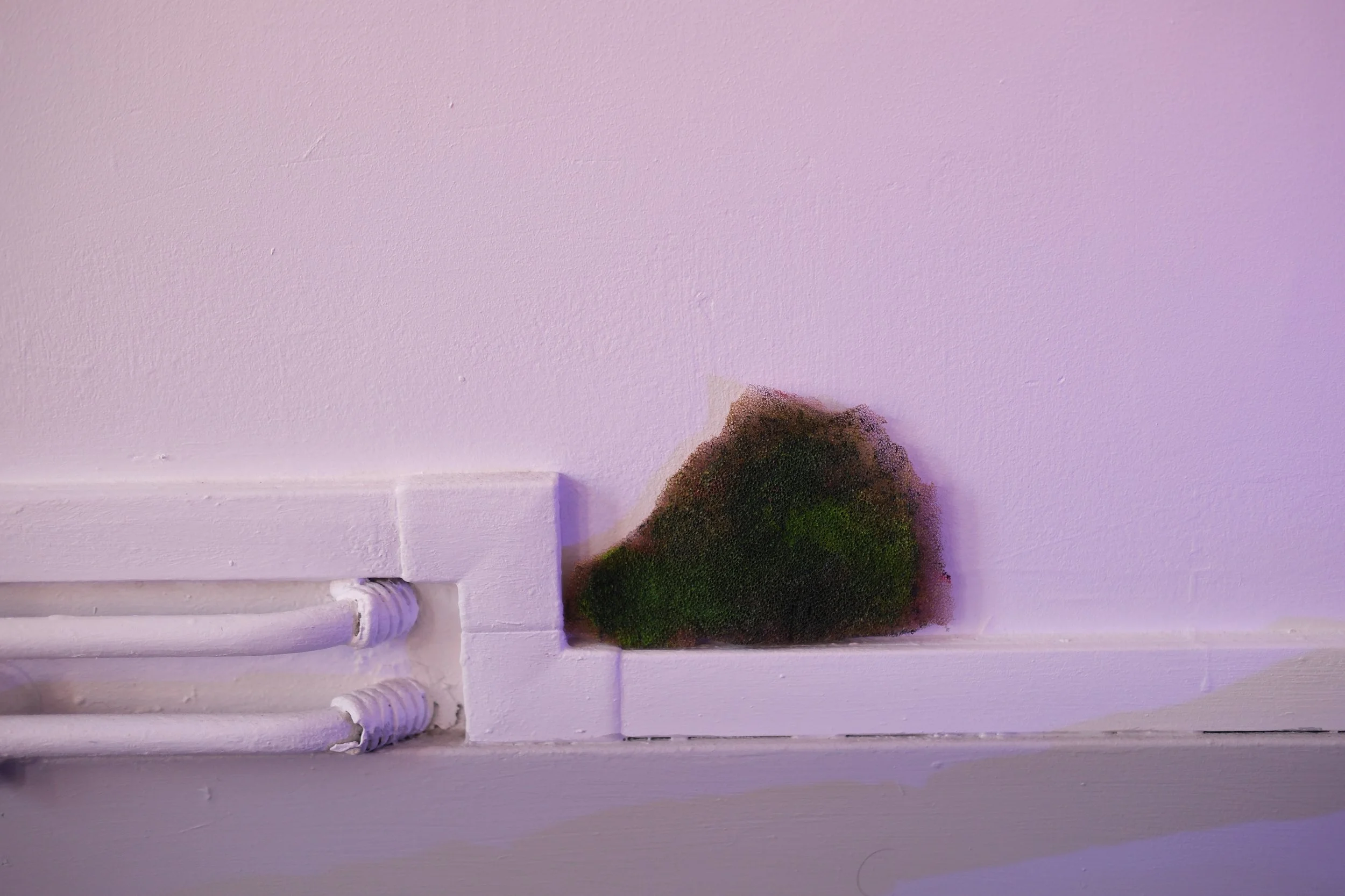 DSCF5547.JPG