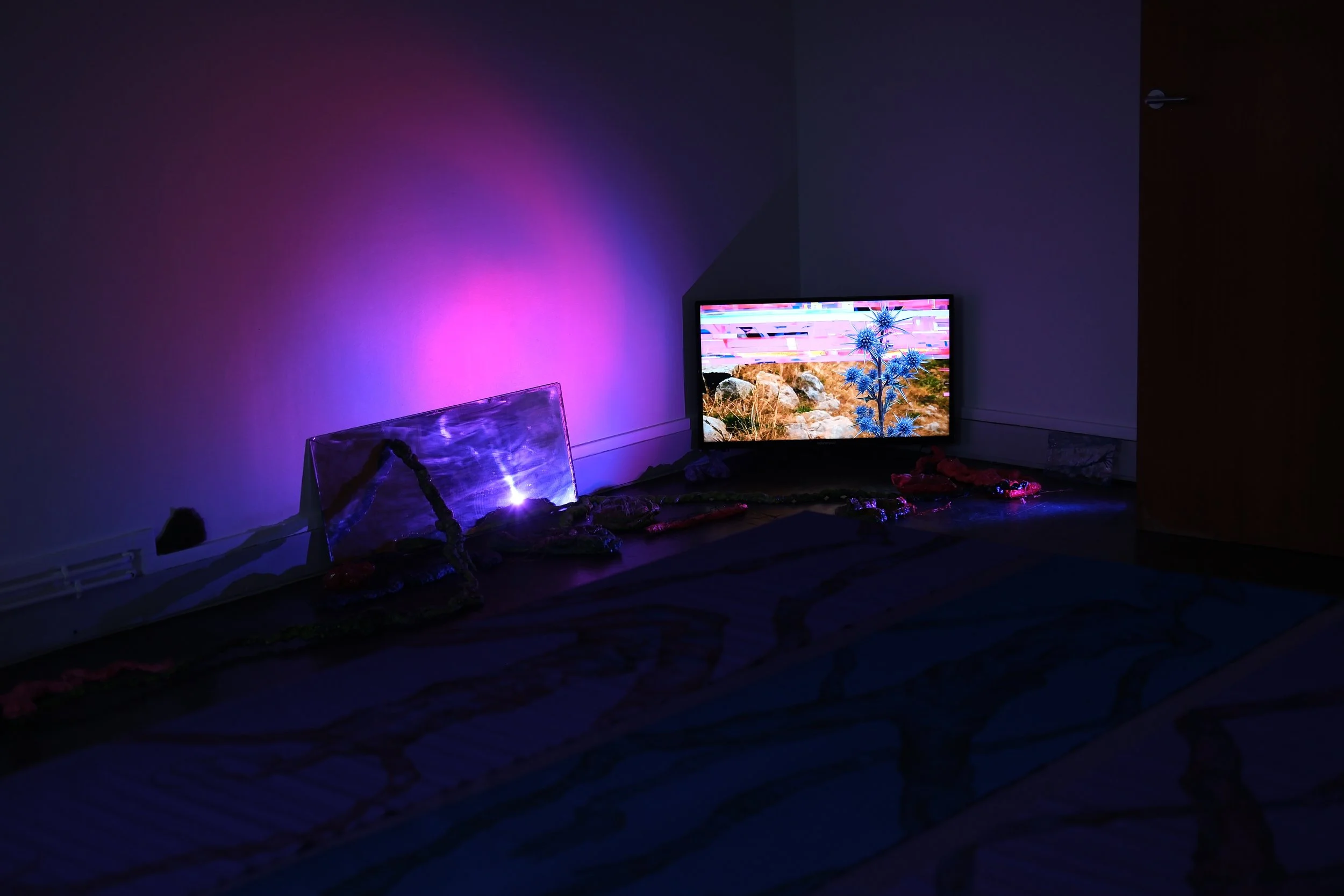 DSCF5580.JPG