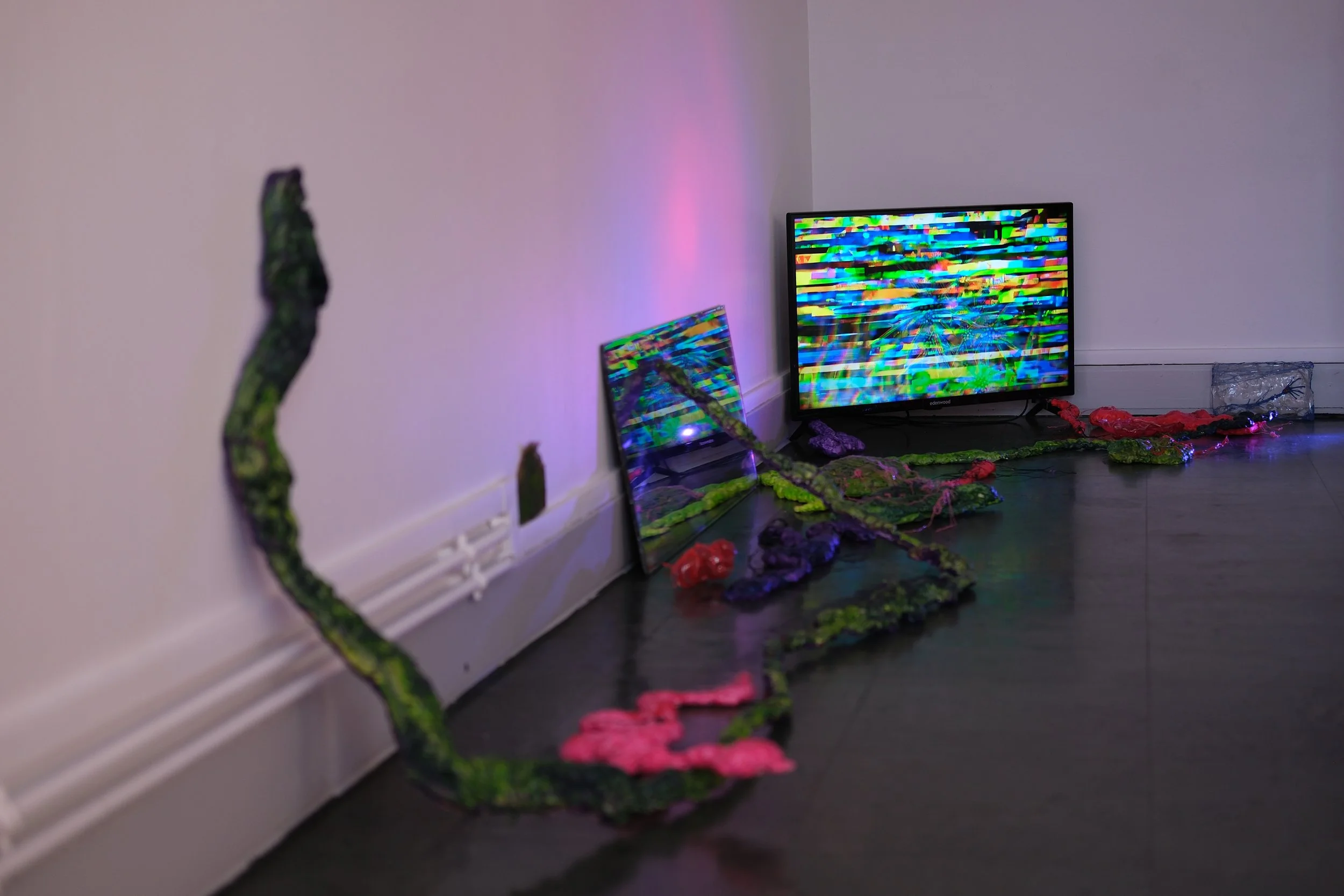 DSCF5519.JPG