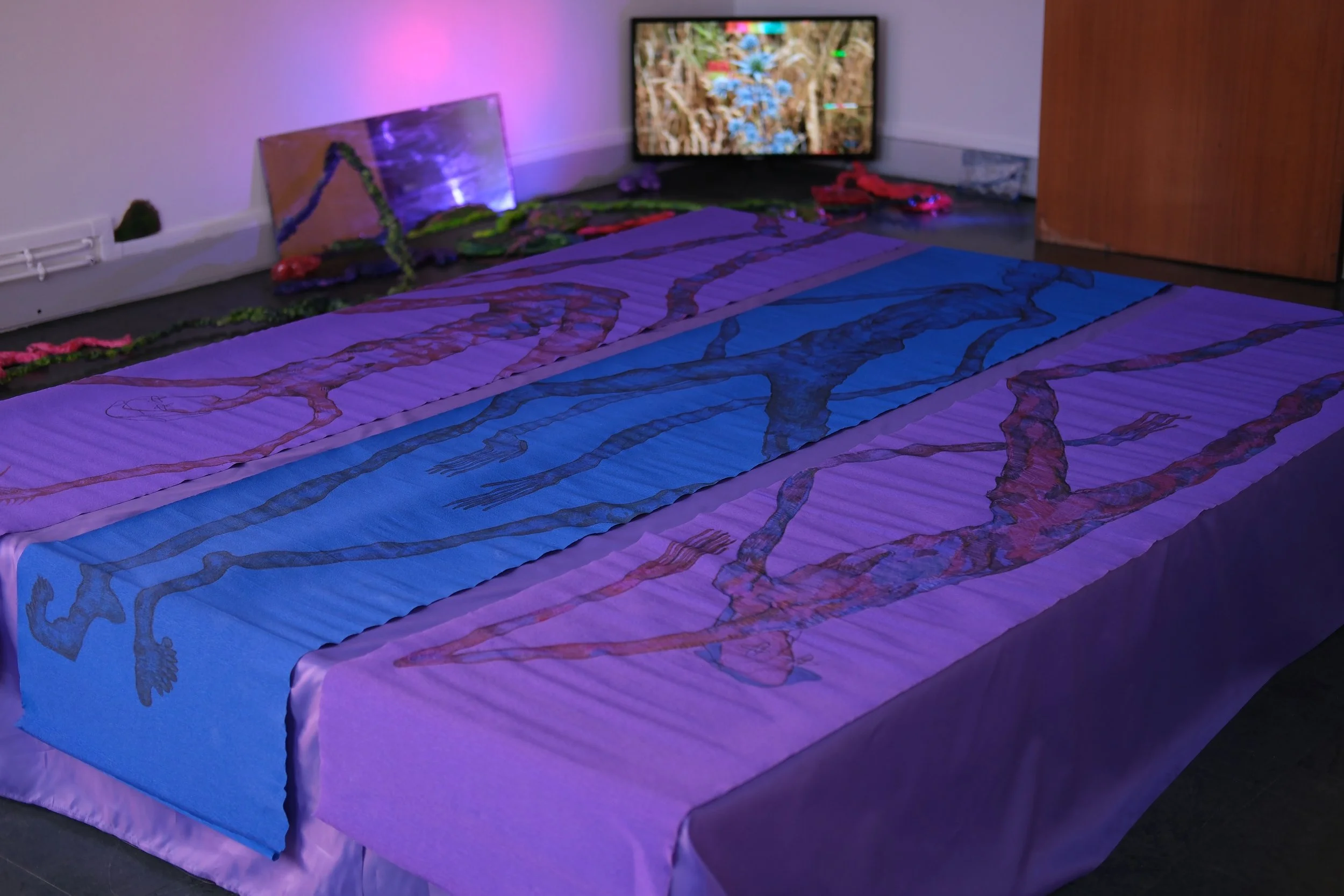 DSCF5539.JPG