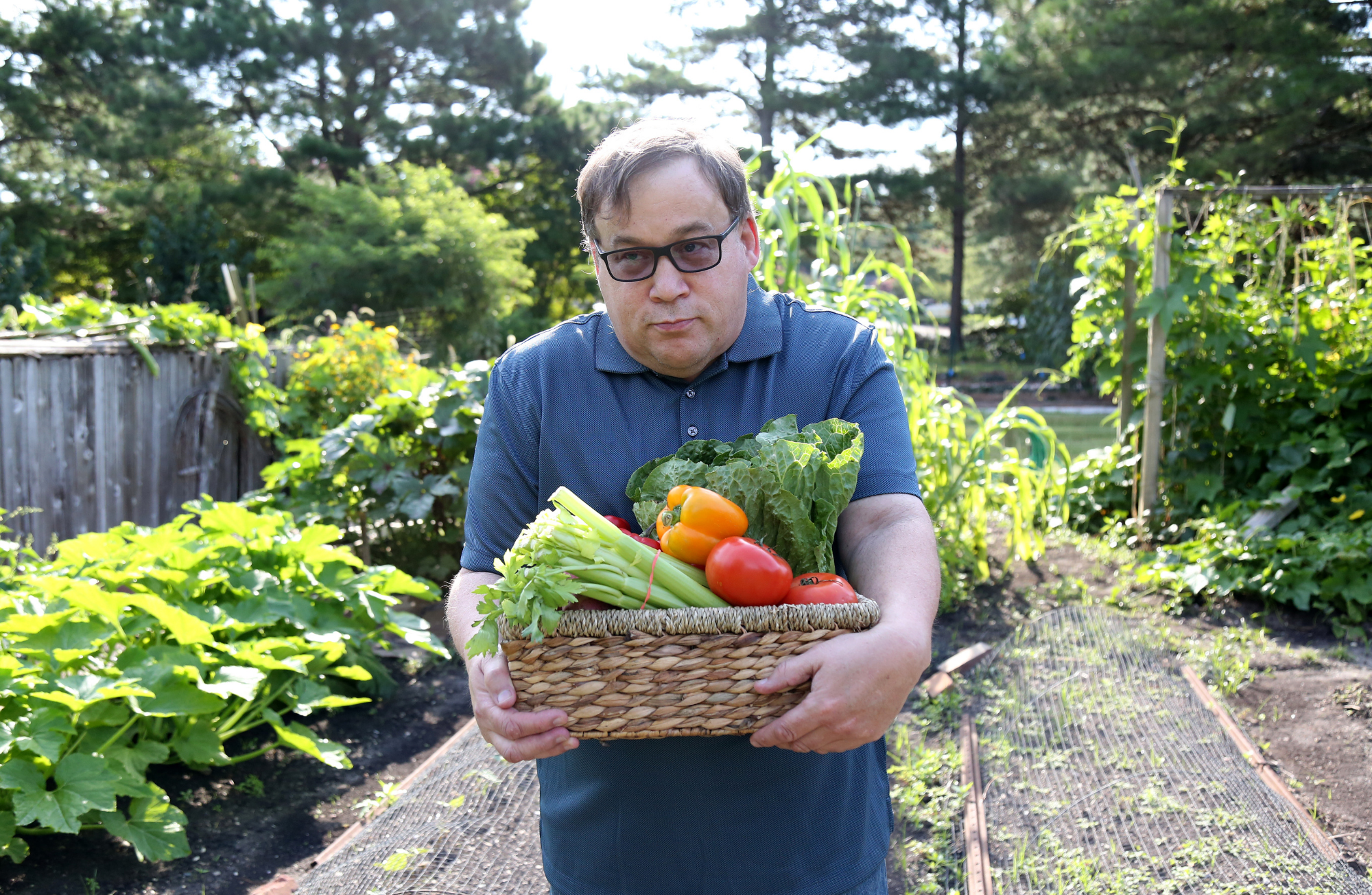 A man wearing glasses and a blue polo shirt holding a basket of fresh vegetables including tomatoes, lettuce, celery, and bell peppers in a garden with green plants and trees in the background.