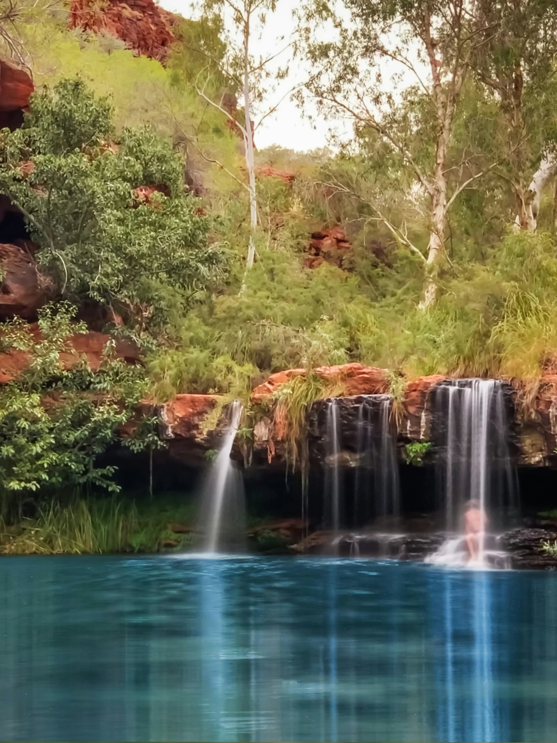 Een natuurlijke zwemrivier waterbron genaamd fern pool in karijini national park