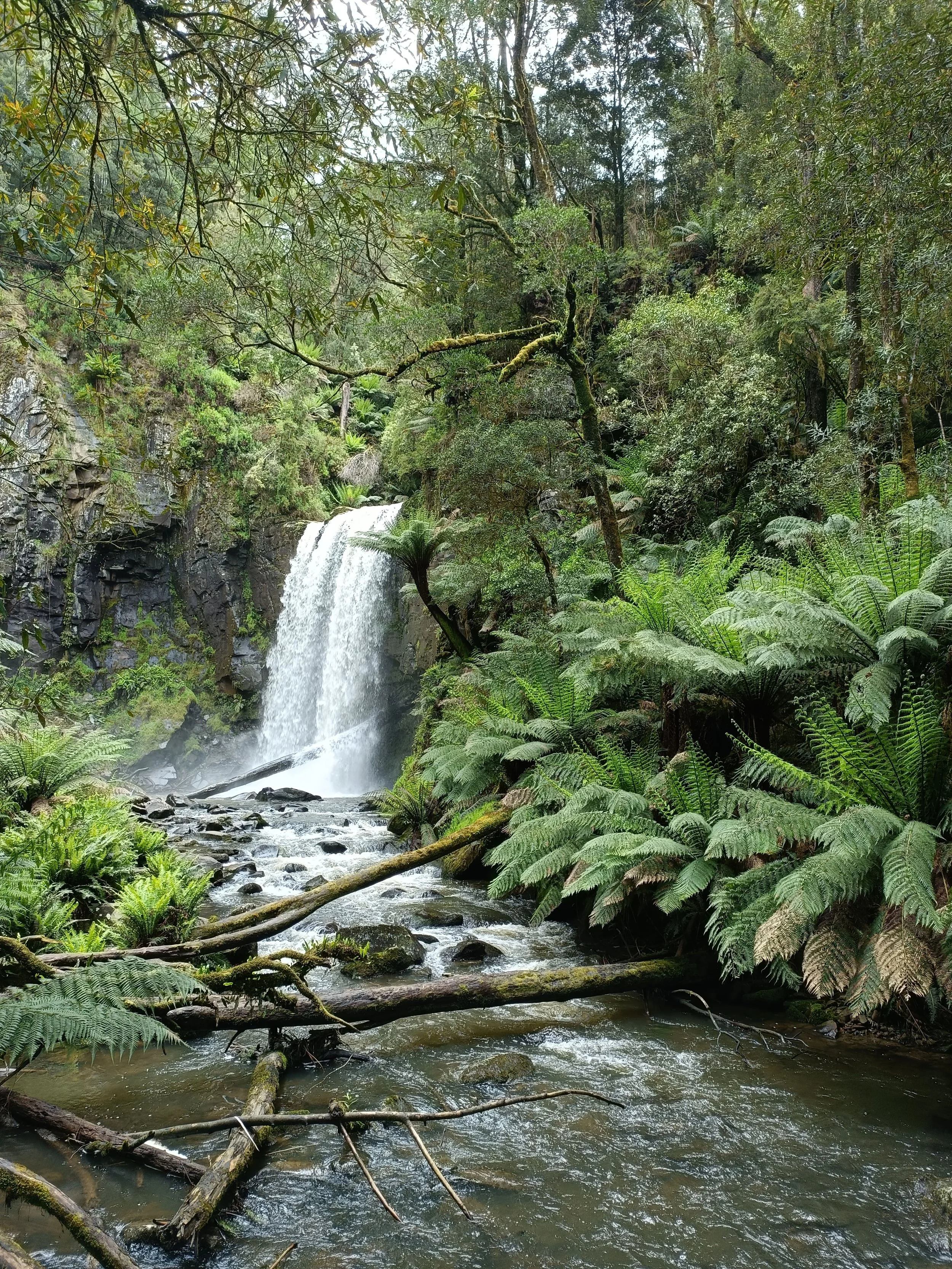 de hopetoun waterval in het great otway national park