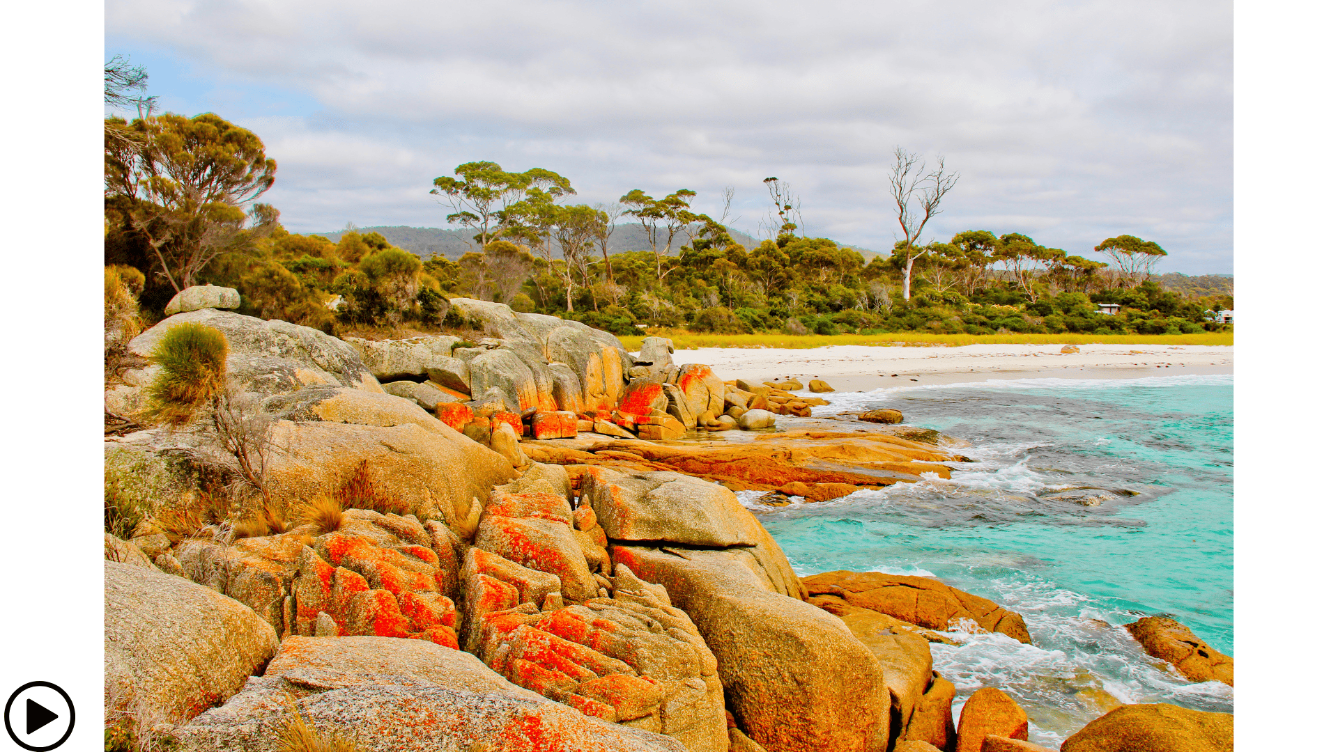 een strand bij de bay of fires in tasmanië met oranje rotsen en een blauwe zee